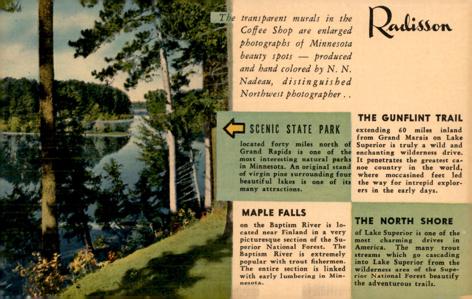 Minnesota Scenic State Park and North Shore Drive Postcard