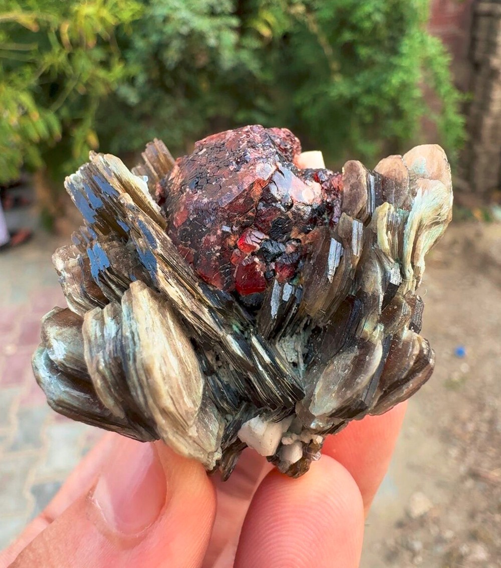 72 Grams Etched spessartine Garnet on Star Muscovite mica mineral specimen @Pak 72 Grams Etched spessartine Garnet on Star Muscovite mica mineral specimen @Pak