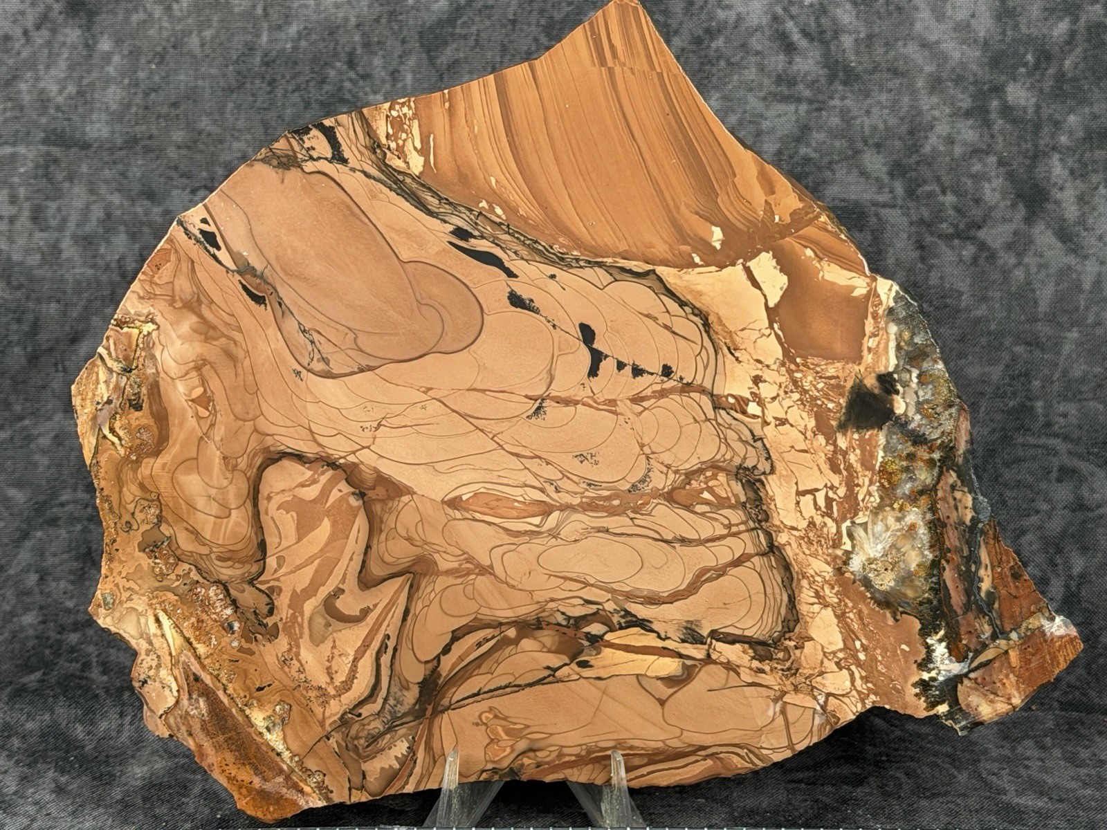 Choice Rare XXL  Willow Creek Jasper Slab, Lot#1483