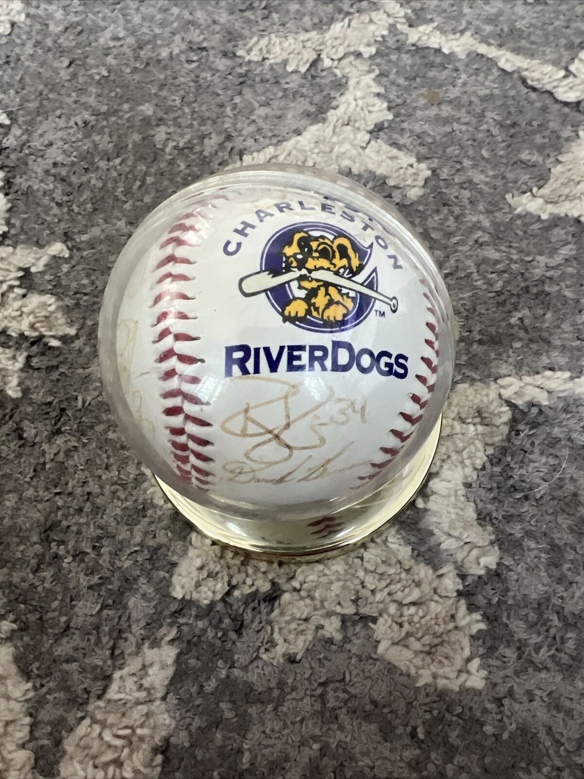 Charleston Riverdogs Autographed Signed Baseball