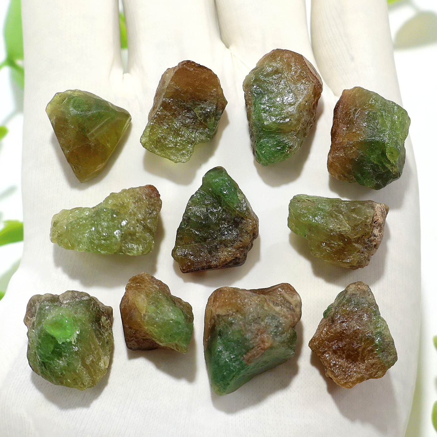 Alchemy Of Green & Gold ~ 11 PC Tanzania Grossular Garnet Crystals Of Abundance