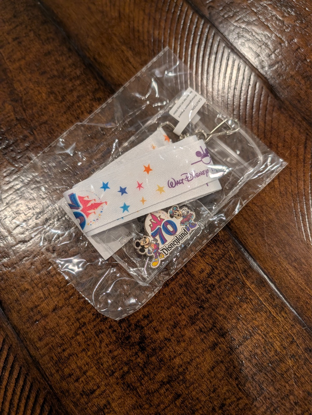 Disneyland 70th Anniversary - Celebration Lanyard & Trading Pin Set - NIB