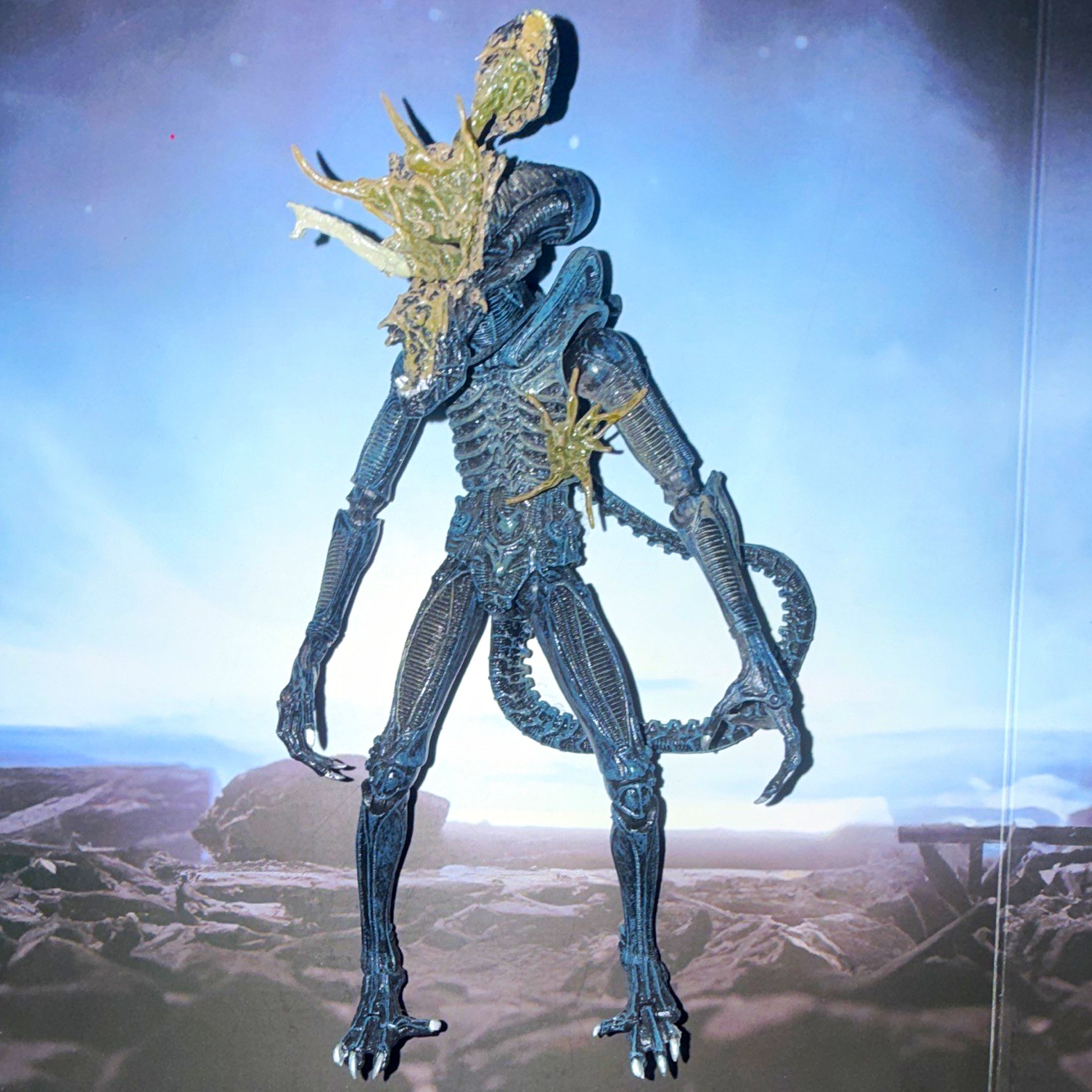 NECA Aliens Xenomorph Battle Damage Alien Warrior AVP Predator loose no box