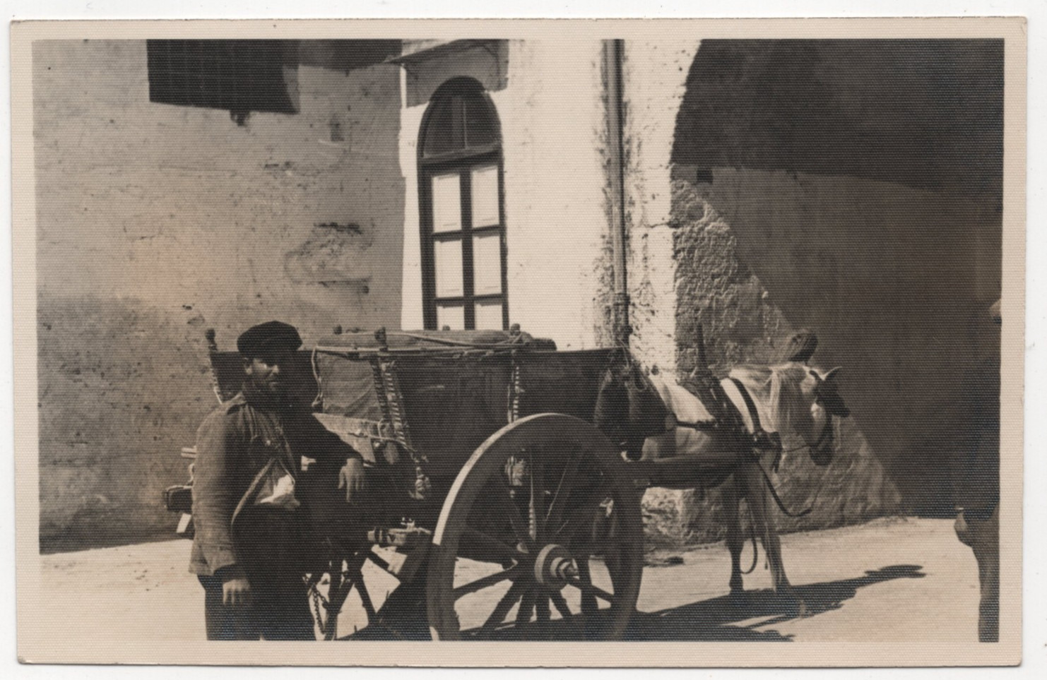 Antique RPPC Palermo Sicily Italy Carro Siciliano Horse Cart Photo Postcard