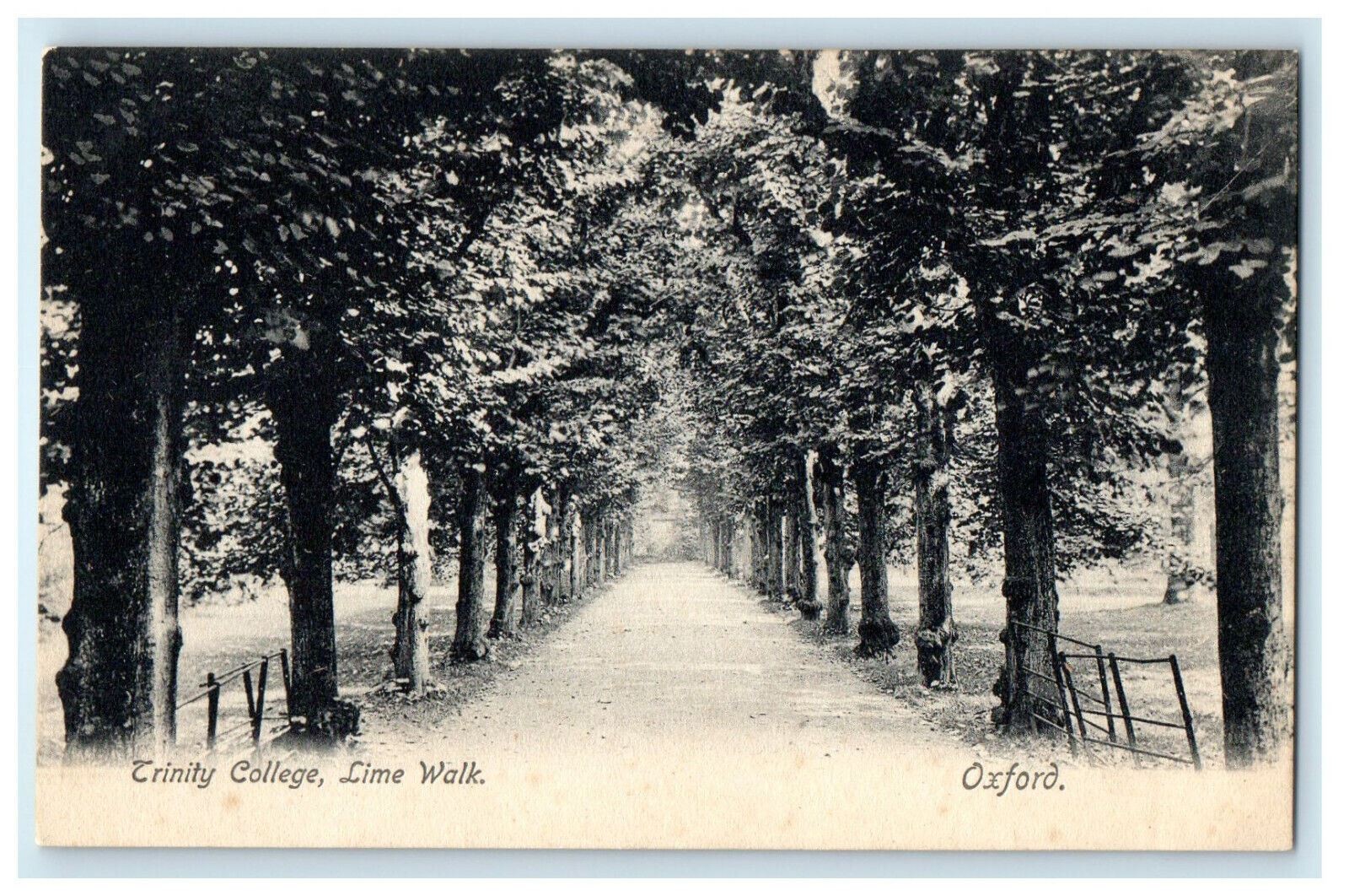 c1910s Trinity College, Lime Walk Oxford England EN Unposted Antique Postcard c1910s Trinity College, Lime Walk Oxford England EN Unposted Antique Postcard