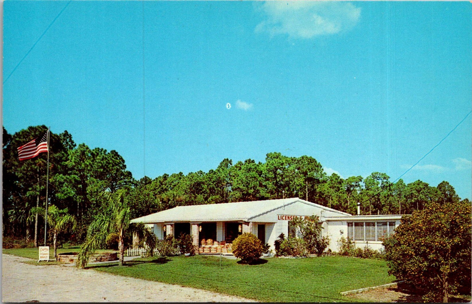 Melbourne Florida FL Houser's Grove Zoo Citrus Grove Exotic Animals Postcard Melbourne Florida FL Houser's Grove Zoo Citrus Grove Exotic Animals Postcard