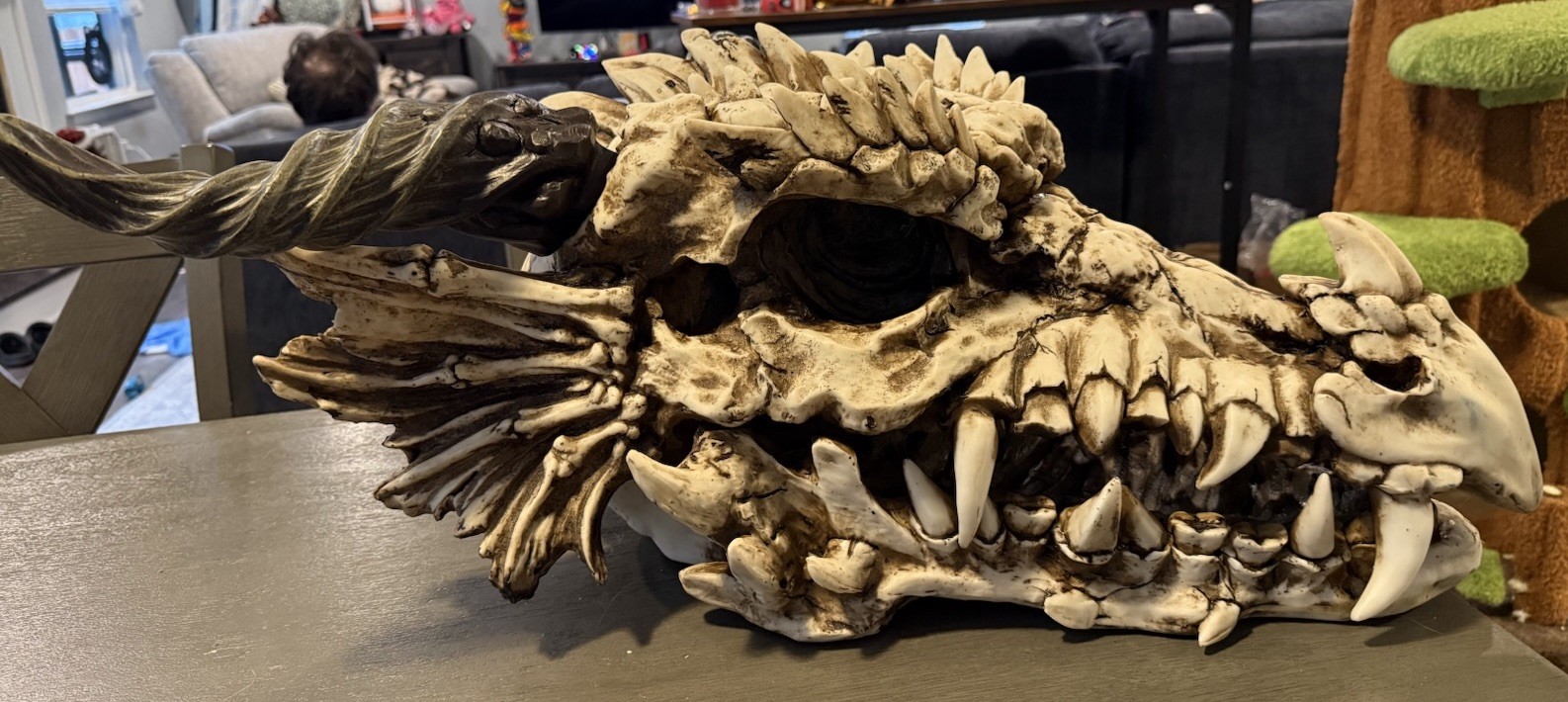 Giant Hand Made Resin Dragon Skull - Beautiful Craftsmanship 