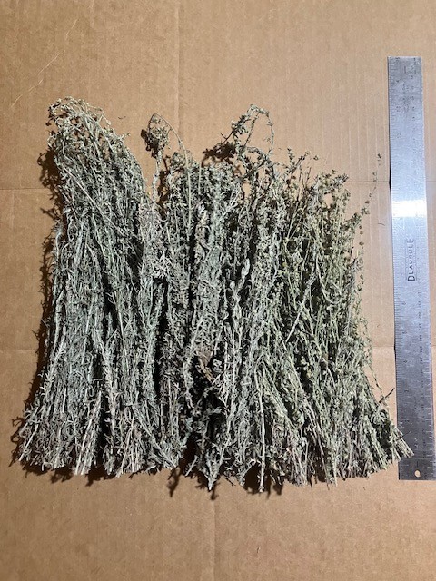 3 Ounces Of Dried Whole Wild Sagebrush Plants From East Arizona, For Smudging &