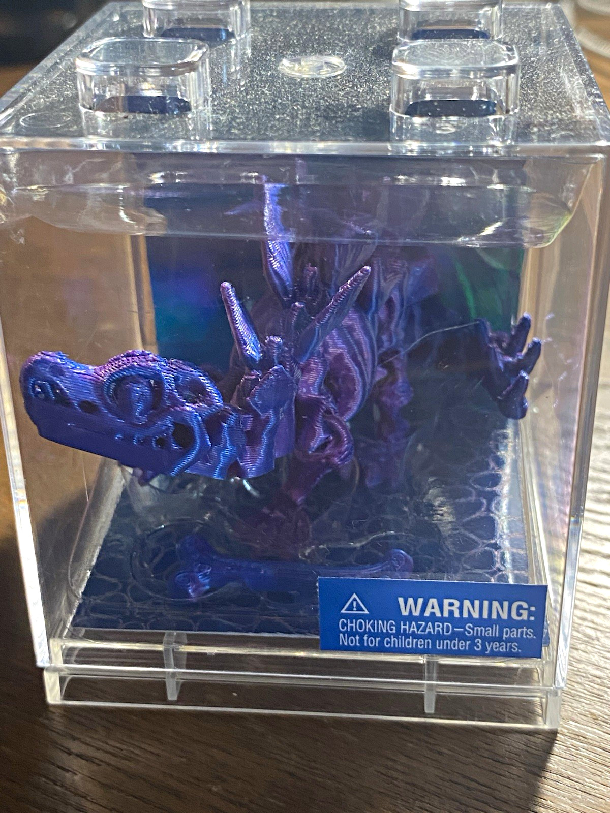JARU Stegosaurus Dinosaur 3D Printed Plastic Model Figure in Clear Case