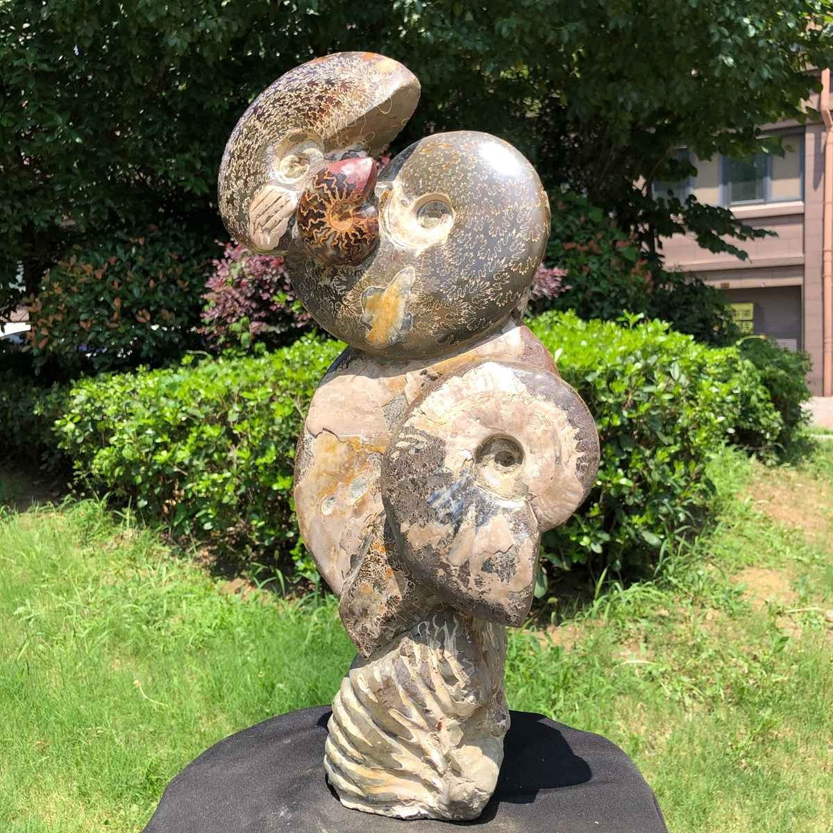 19.16 LB Natural Polished Ammonite Fossil Cluster Specimen Multiple Ammonites