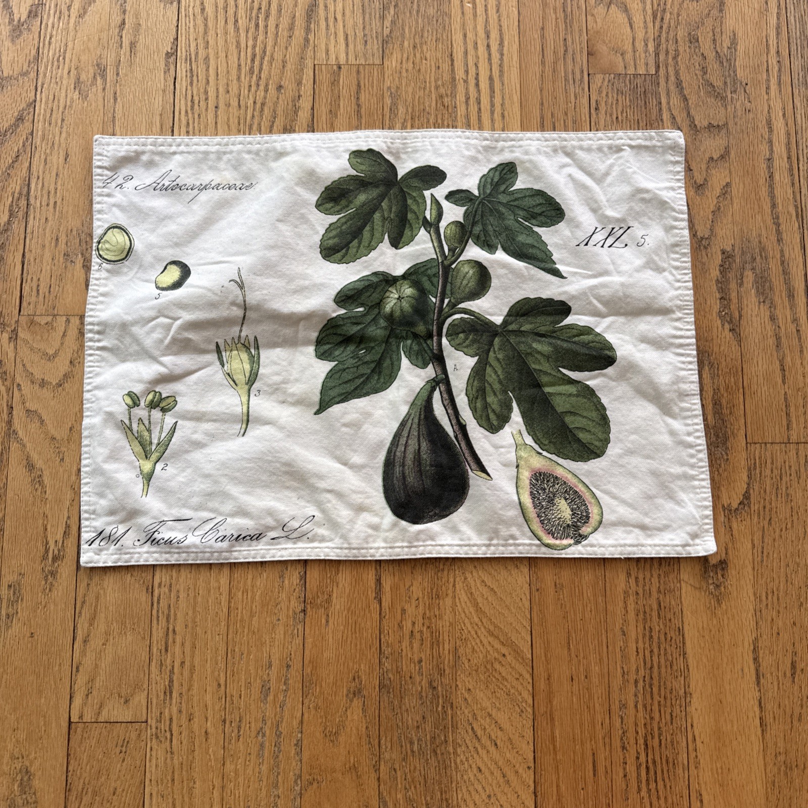 Williams-Sonoma Botanical Fig Placemat Williams-Sonoma Botanical Fig Placemat