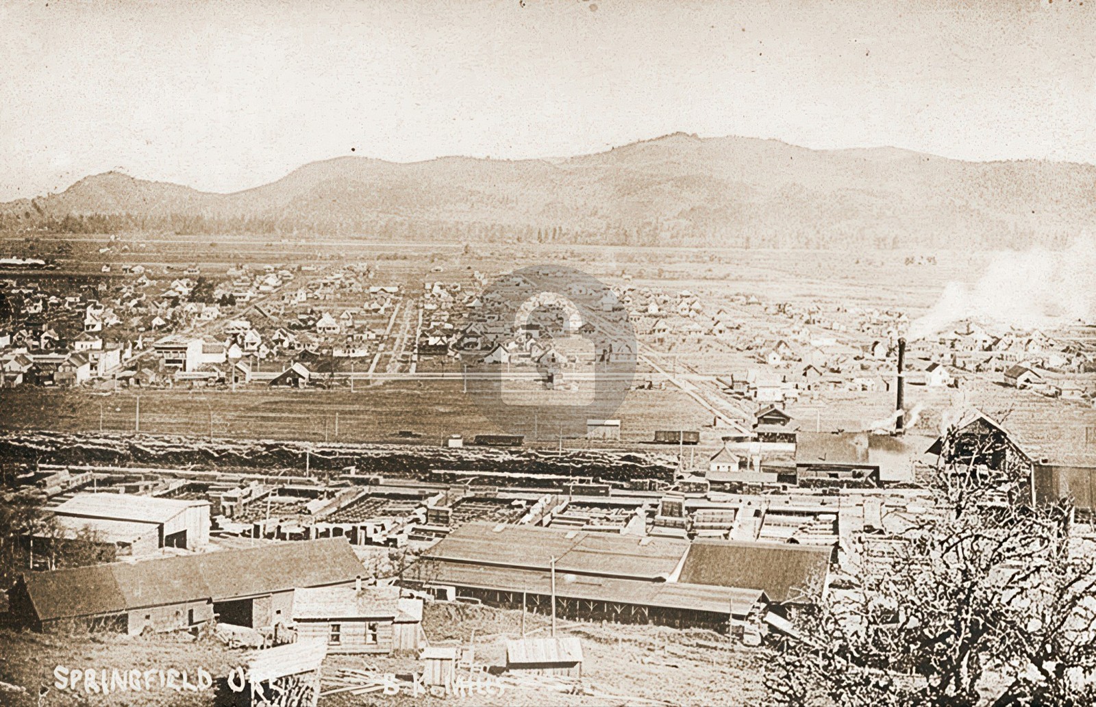Springfield Oregon Birdseye Town View 1900s RPPC Photo Postcard COPY Springfield Oregon Birdseye Town View 1900s RPPC Photo Postcard COPY