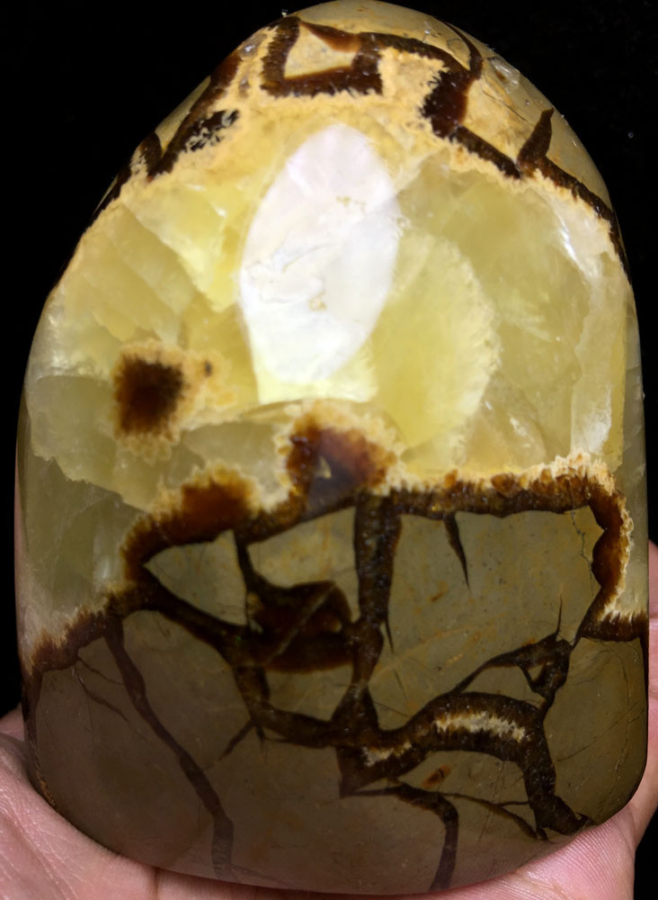 616g AAAA++++ Madagascar Large Dragon Septarian Crystal Geode Healing C524