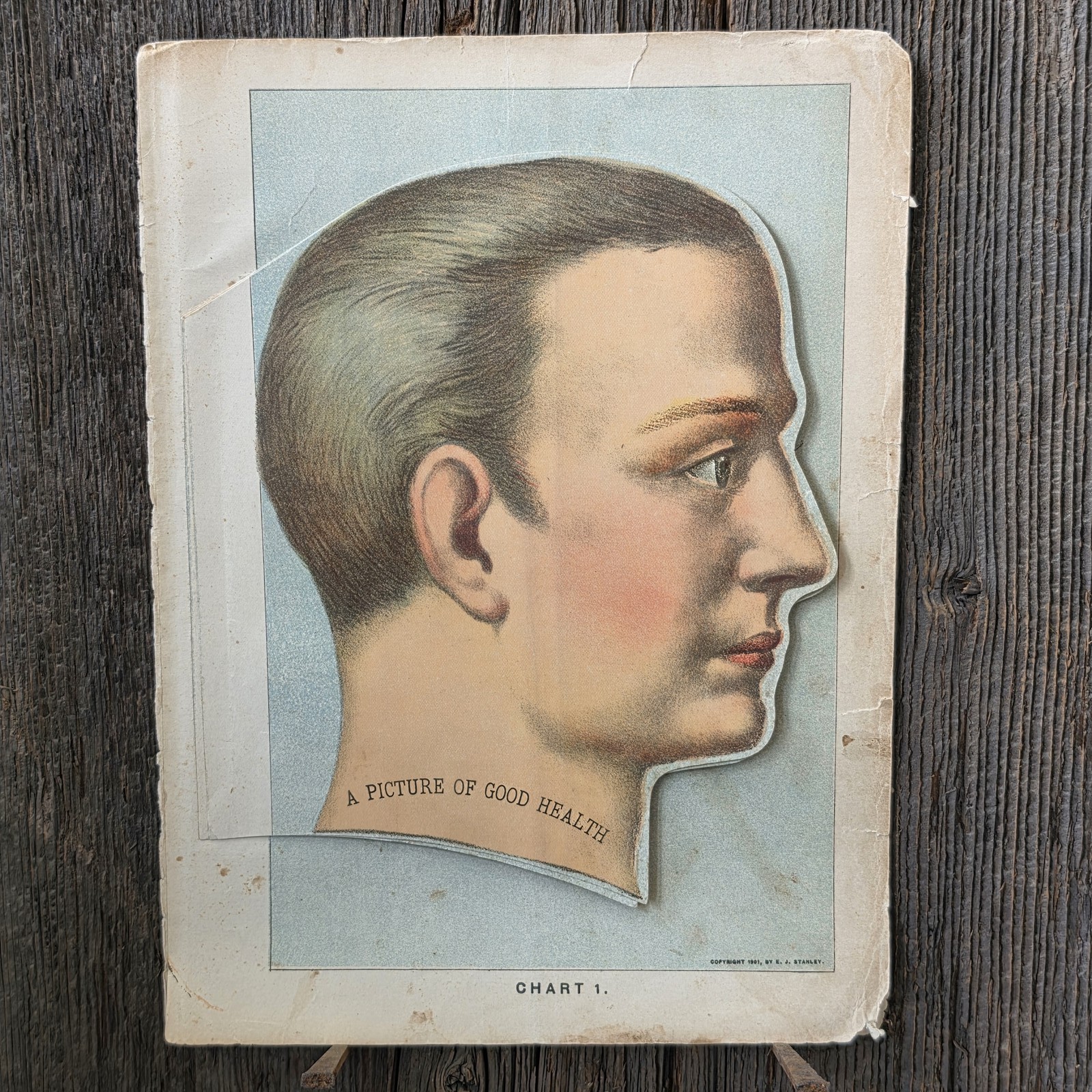 1901 Antique Medical Anatomical Flap Manikin Chart Human Head Brain Skull Oddity 1901 Antique Medical Anatomical Flap Manikin Chart Human Head Brain Skull Oddity