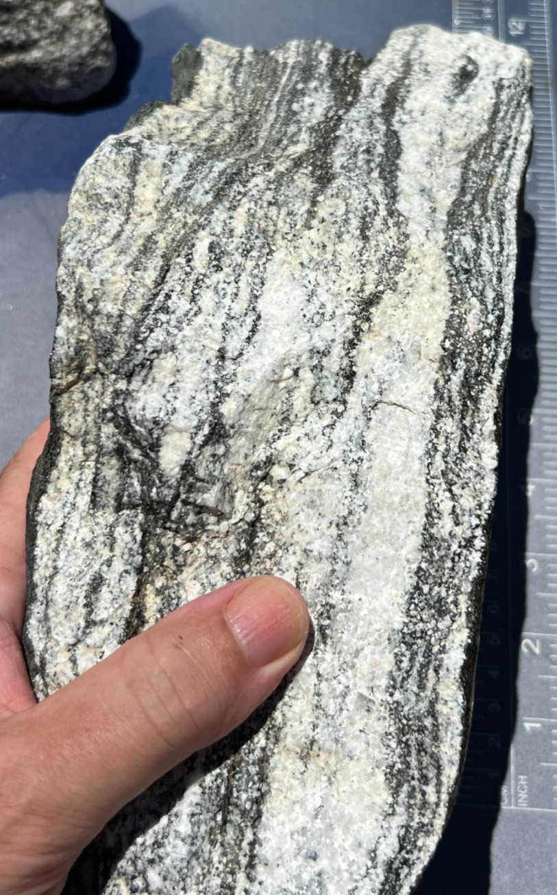 14lbs Granodiorite Diorite Black and White Mineral Zebra Specimen
