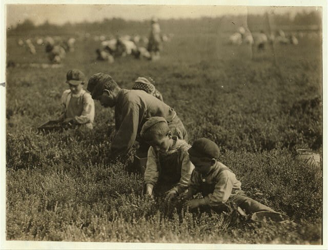 Photo:Browns Mills New Jersey 1910 Arnao Family Berry Pickers Cranberries