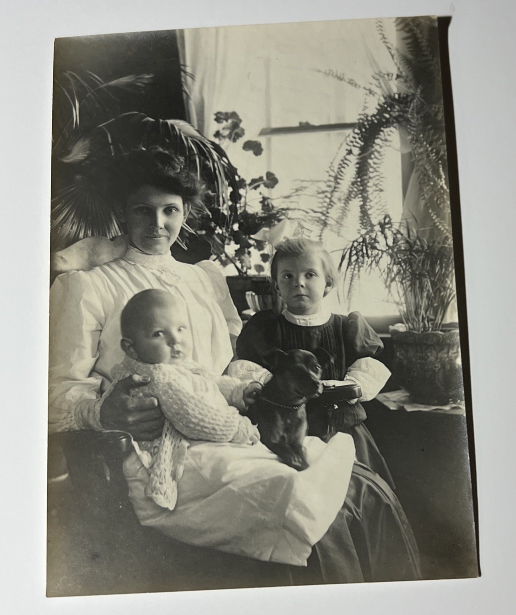 c1910 5x7 Photograph Edwardian Woman Children Dog Interior Fern Exceptional