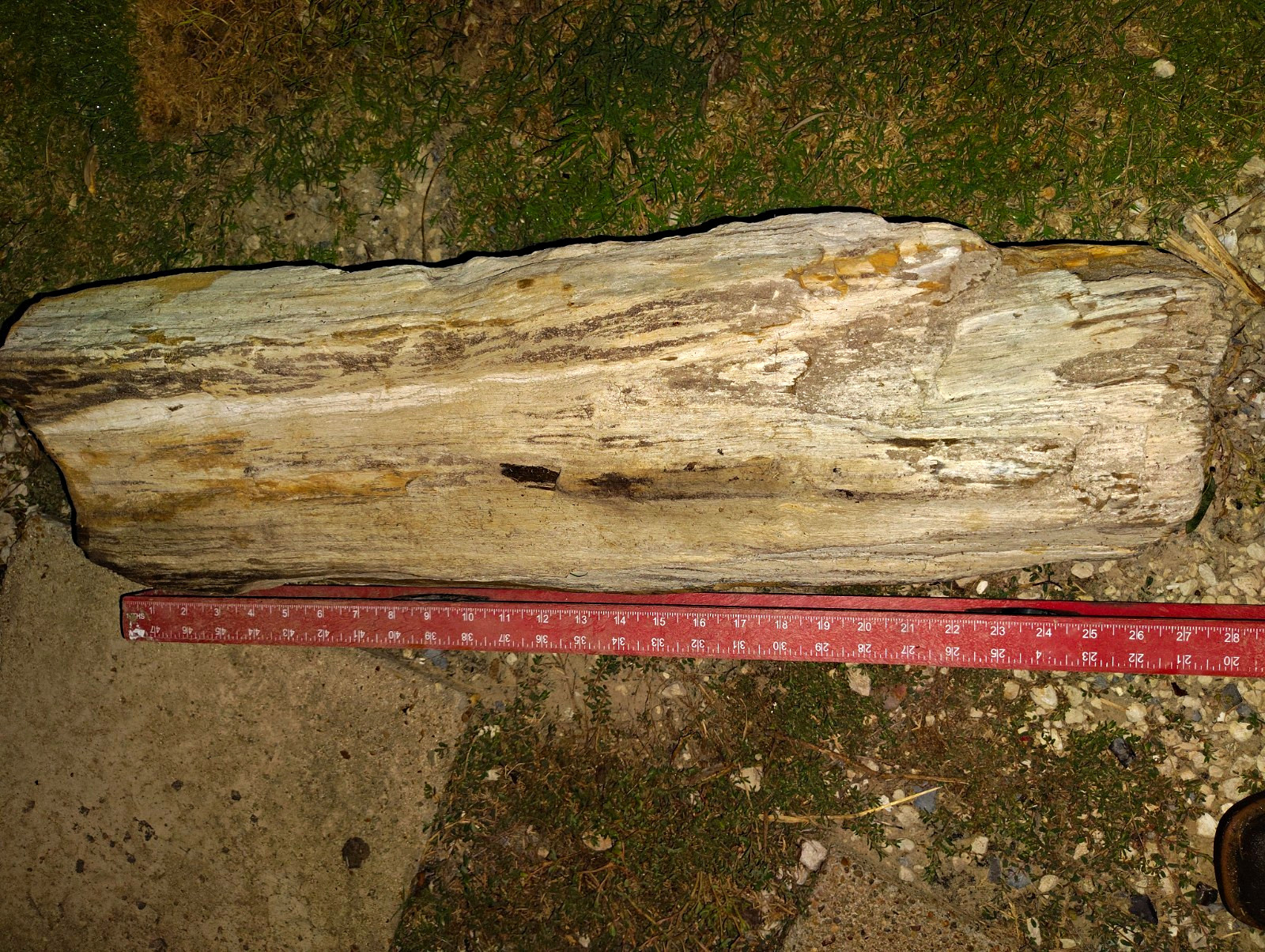 Large Petrified Wood Log Fossil Specimen Natural Display Piece, Approx 29 in Large Petrified Wood Log Fossil Specimen Natural Display Piece, Approx 29 in