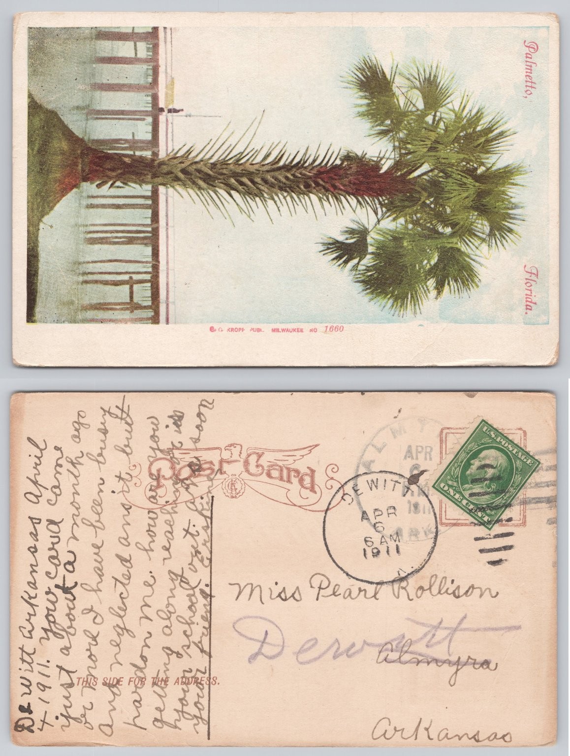1911 Palmetto Florida Palm Tree Postcard G. Kropp Publ. De Witt Arkansas
