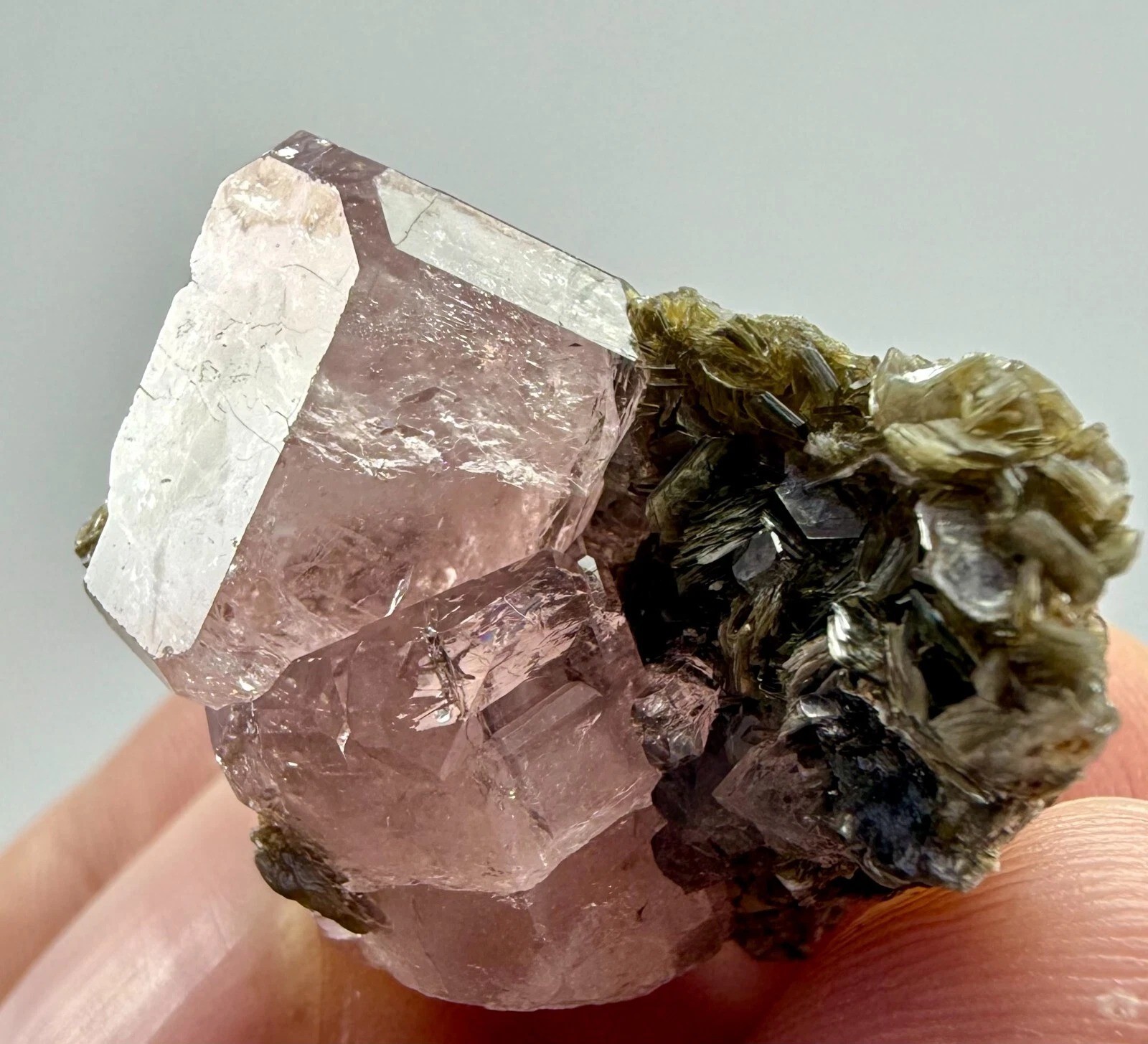 59 CT Pinkish Apatite Crystals on Muscovite from Skardu Pakistan e4 59 CT Pinkish Apatite Crystals on Muscovite from Skardu Pakistan e4