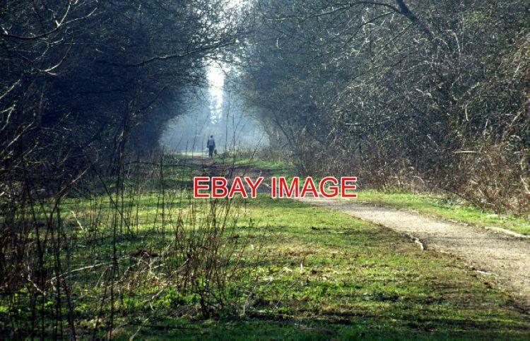 PHOTO OLD RAILWAY SOUTH OF SOUTH WIGSTON THIS PART OF THE OLD LEICESTER - RUGBY PHOTO OLD RAILWAY SOUTH OF SOUTH WIGSTON THIS PART OF THE OLD LEICESTER - RUGBY