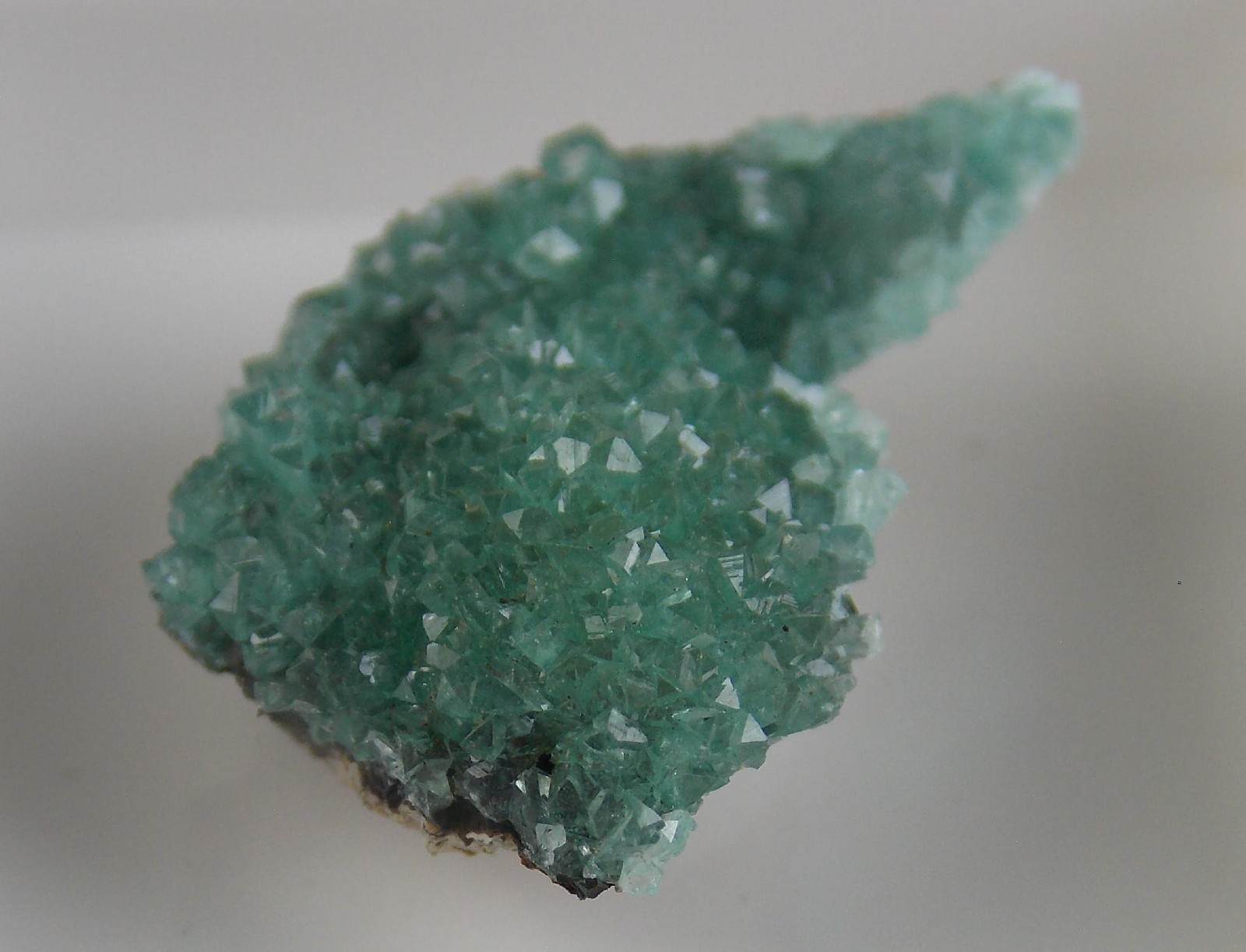 CUPRIAN ADAMITE CRYSTALS - 1.9 cm - OJUELA MINE, MAPIMI, MEXICO 30579 CUPRIAN ADAMITE CRYSTALS - 1.9 cm - OJUELA MINE, MAPIMI, MEXICO 30579