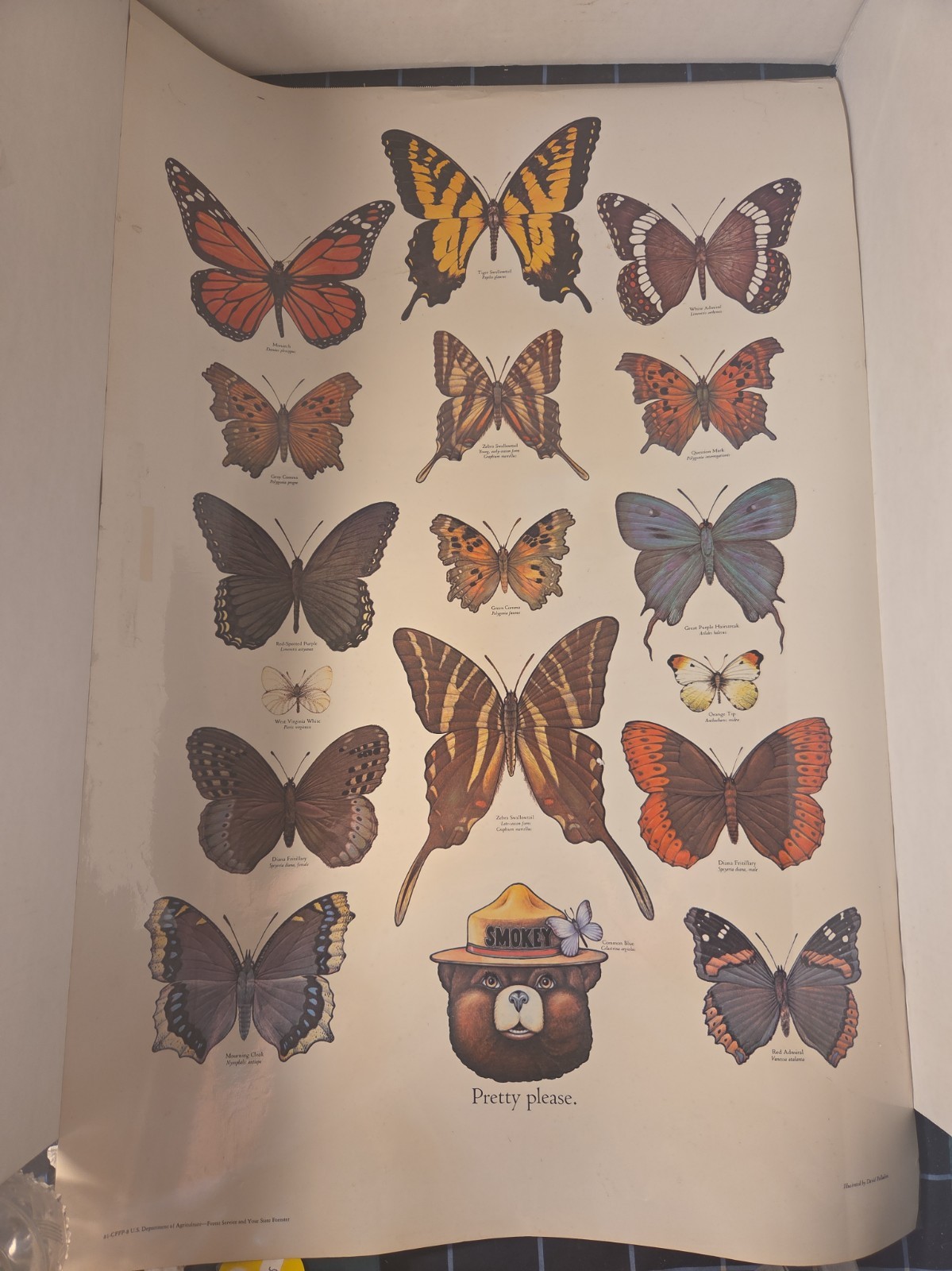 Vintage 1981 Smokey Bear Pretty Please Butterfly Poster USDA Forest Service Vintage 1981 Smokey Bear Pretty Please Butterfly Poster USDA Forest Service