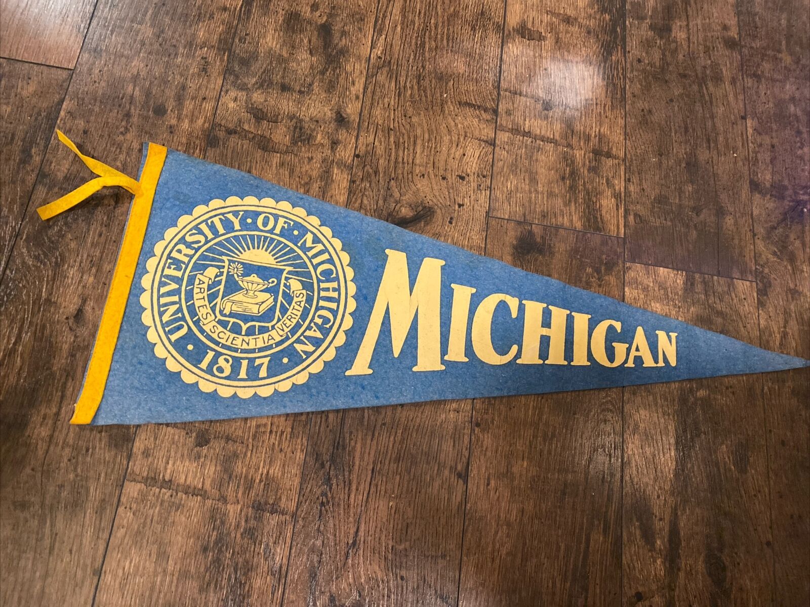 University of Michigan **RARE** Vintage Pennant NCAA Football Wolverines 29”