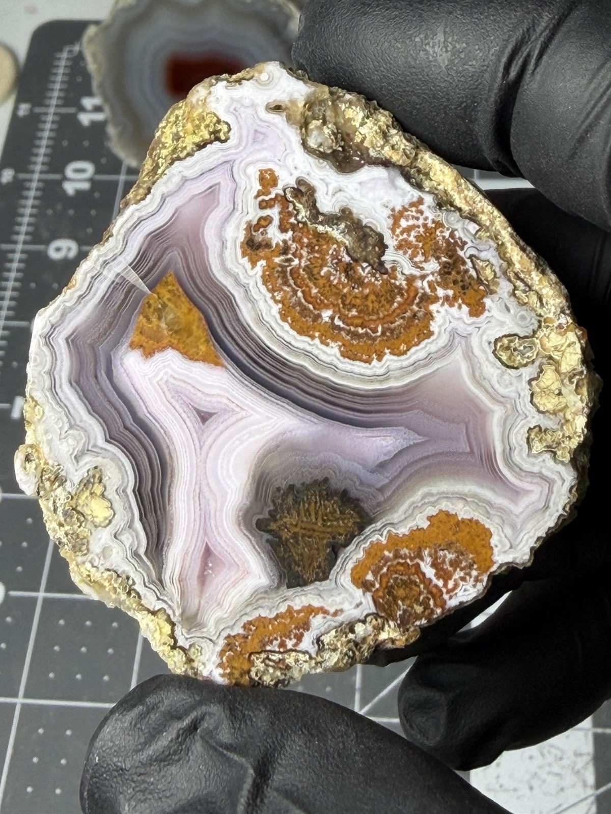 Stunning Laguna Agate Purple Banding Plumes Stunning Laguna Agate Purple Banding Plumes