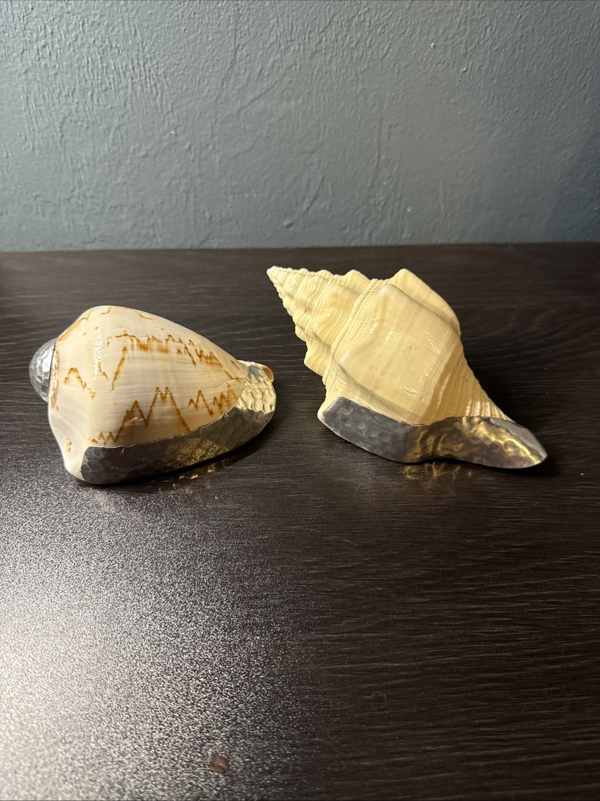 Pair Of Decorative Sea Shells Pair Of Decorative Sea Shells
