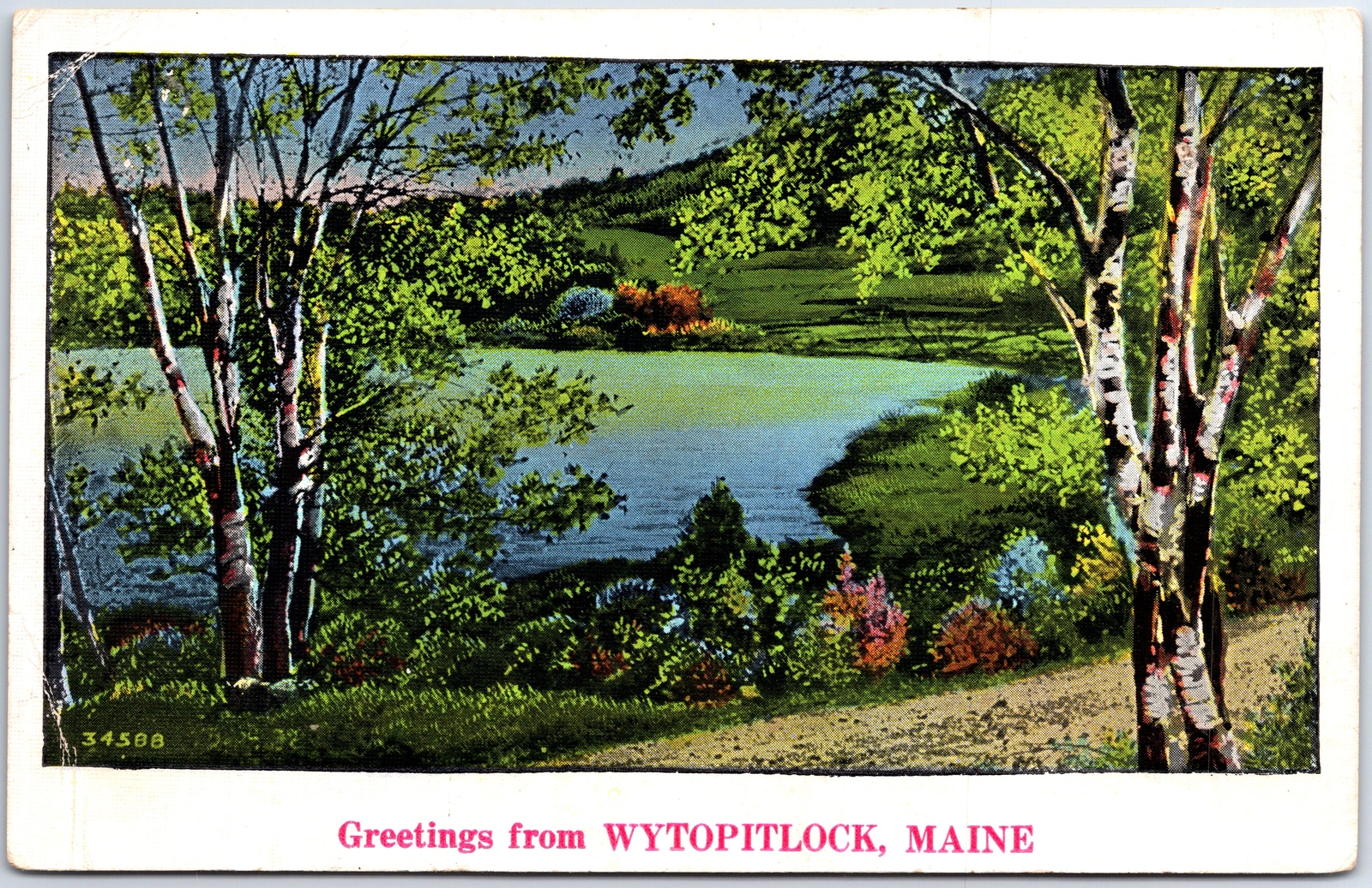 VINTAGE POSTCARD LAKE SCENE GREETINGS FROM WYTOPITLOCK MAINE POSTED 1939 VINTAGE POSTCARD LAKE SCENE GREETINGS FROM WYTOPITLOCK MAINE POSTED 1939