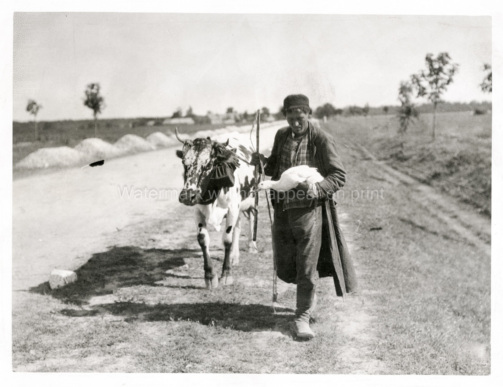 Polish Refugee Farmer Flees German Advance Poland WWI Vtg. Photo WW1
