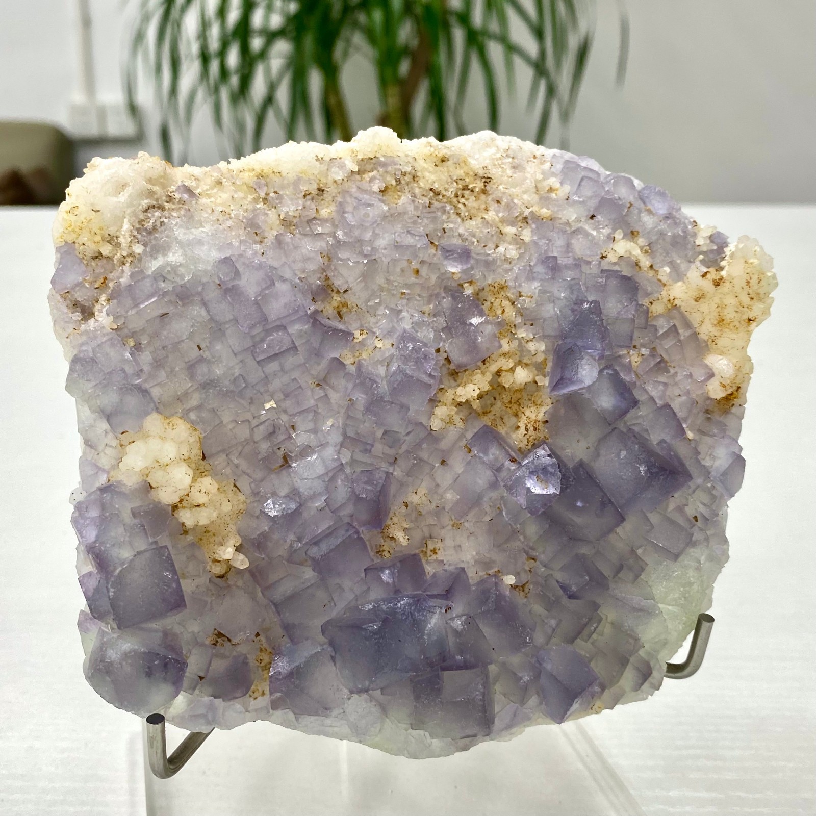 1.48LB Natural rare white crystal cluster mineral standard crystal healing