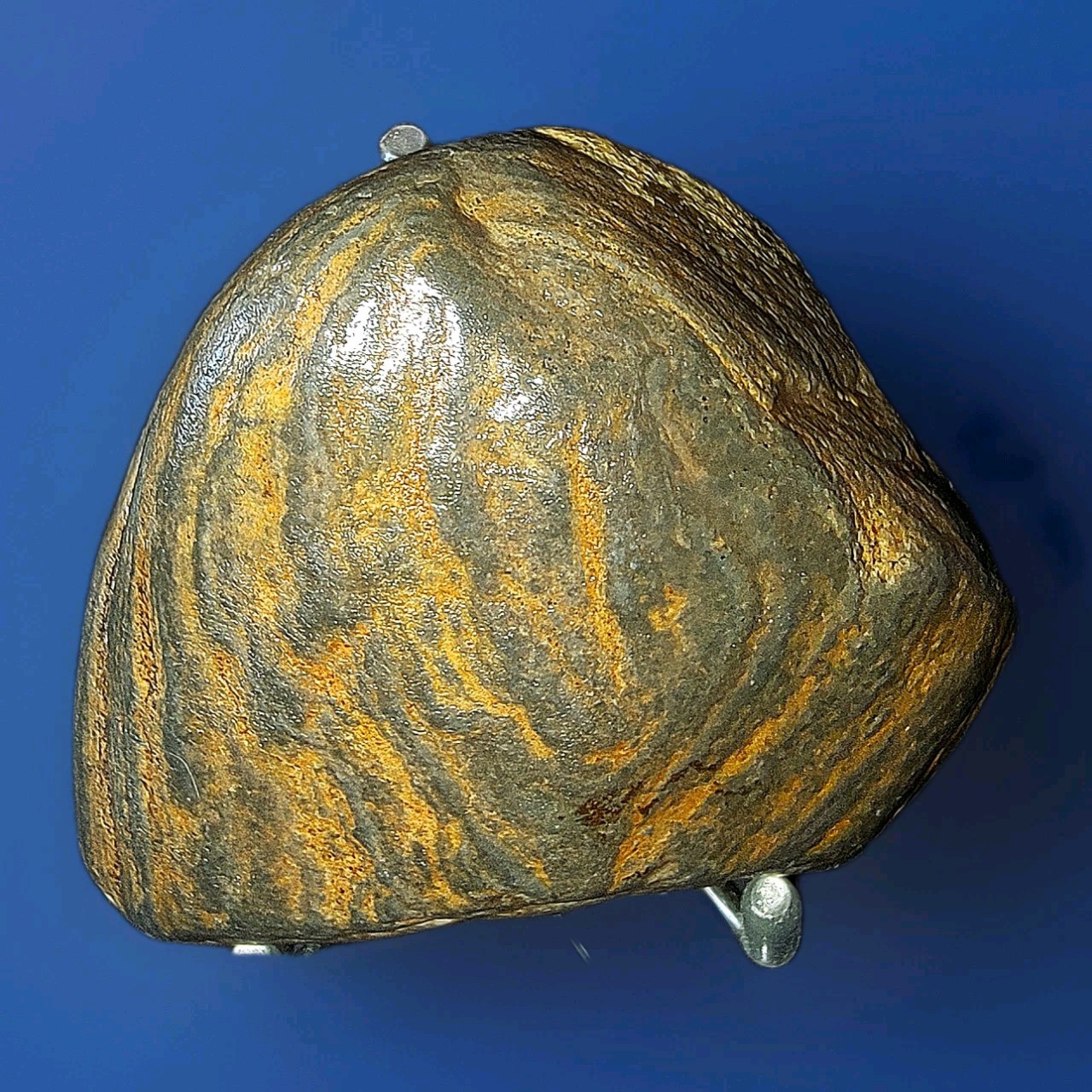 Banded Iron Stramatolite from Wyoming (STAND INCLUDED) 4.6 Ounces Banded Iron Stramatolite from Wyoming (STAND INCLUDED) 4.6 Ounces