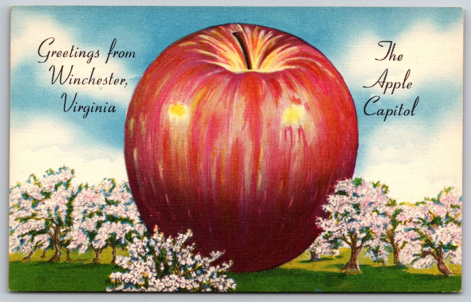 POSTCARD- Greetings from Winchester VA the Apple capital POSTCARD- Greetings from Winchester VA the Apple capital