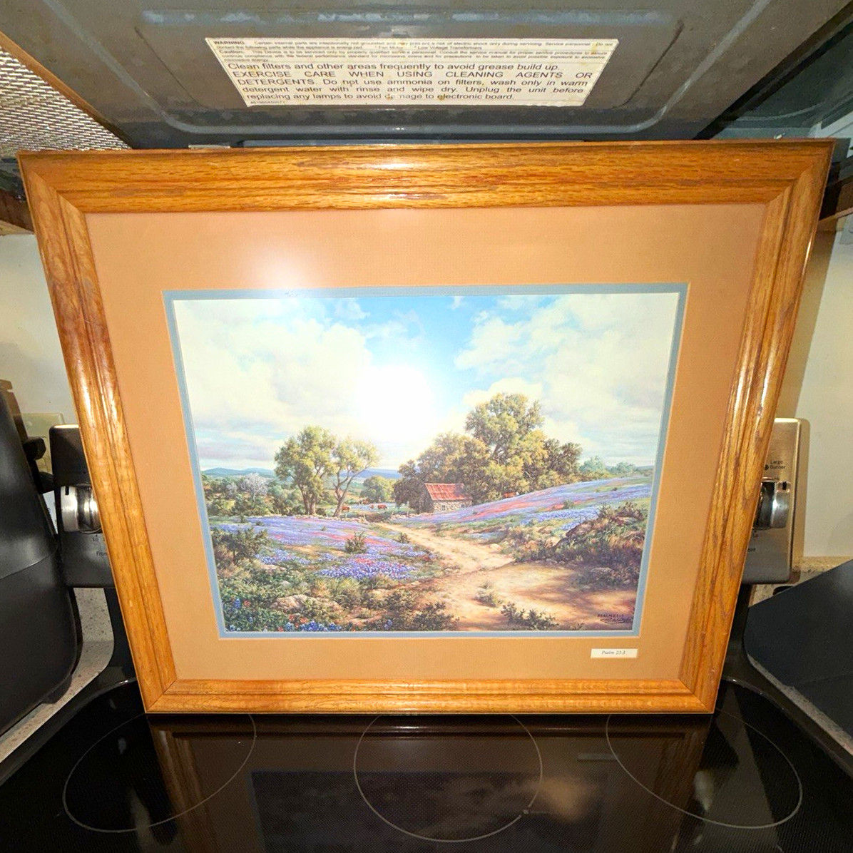 RARE vintage Framed Larry Dyke signed Print with Bible Verse  Psalm 23:3