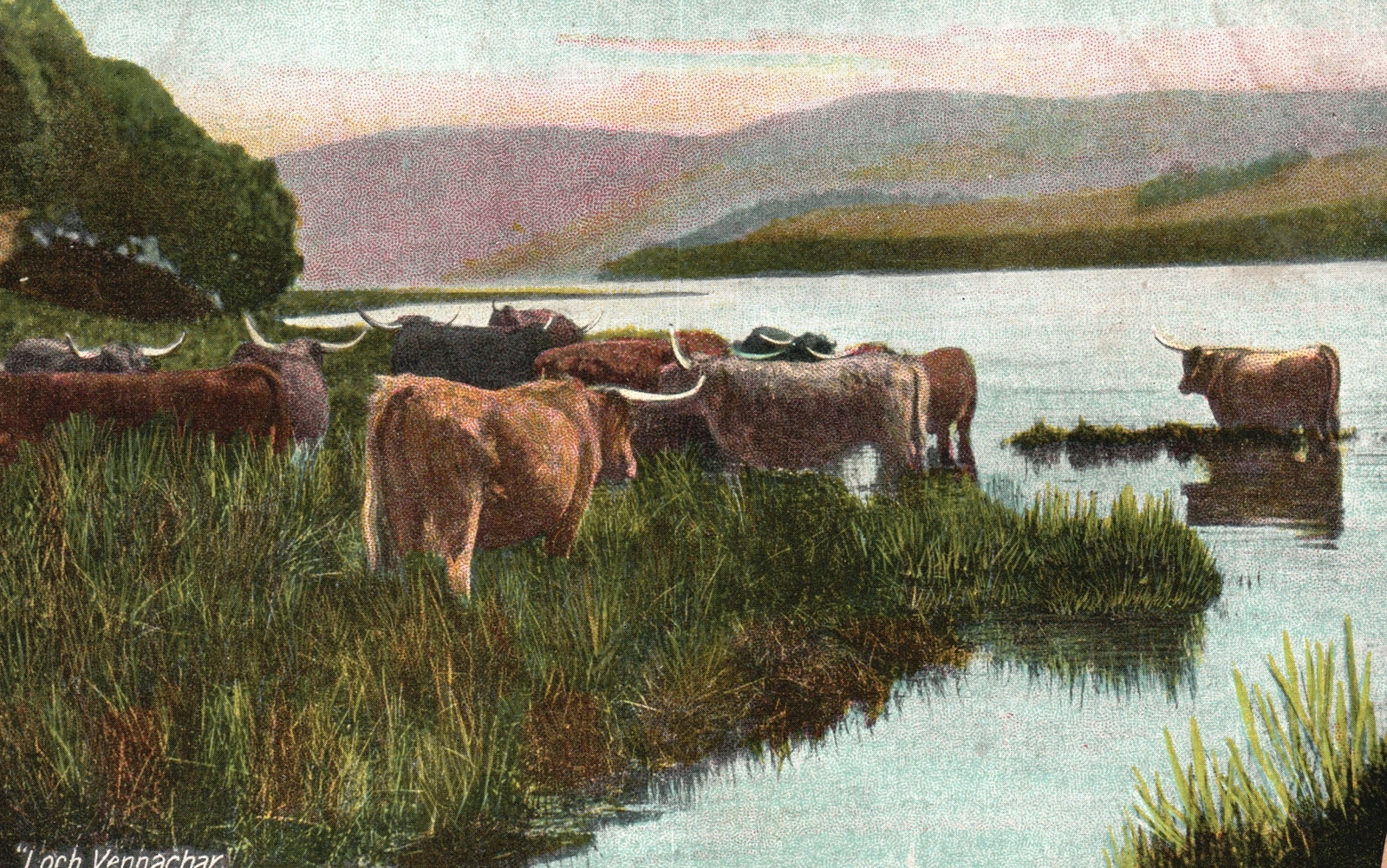 Vintage Postcard 1910\'s Loch Vennachar Freshwater Stirling District Scotland UK Vintage Postcard 1910\'s Loch Vennachar Freshwater Stirling District Scotland UK