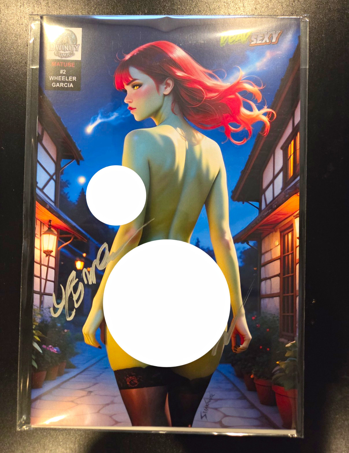 Dead Sexy Mature #2 Signed Single Issue Wheeler & Garcia Naughty Variant Dead Sexy Mature #2 Signed Single Issue Wheeler & Garcia Naughty Variant
