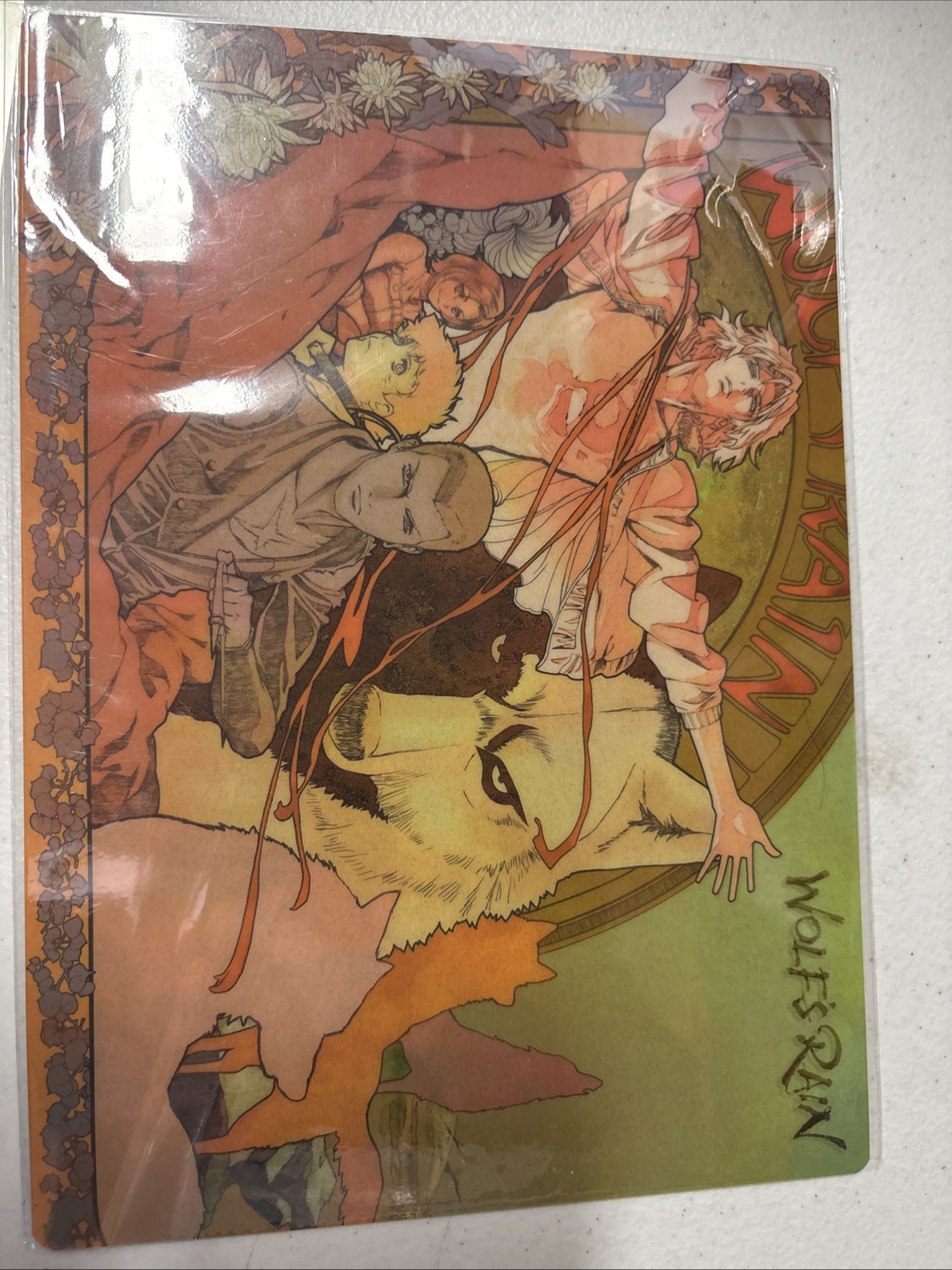 Vintage Wolf's Rain - Tusme Pencil Board Shitajiki Anime Japan 10x7 c4 Last One
