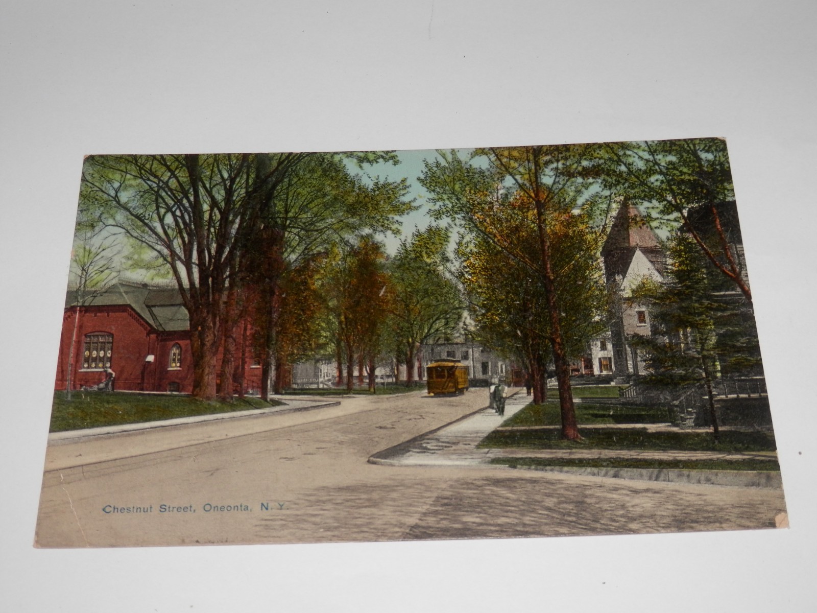ONEONTA NY - 1907-1915 ERA POSTCARD - CHESTNUT STREET - STREET CAR ONEONTA NY - 1907-1915 ERA POSTCARD - CHESTNUT STREET - STREET CAR