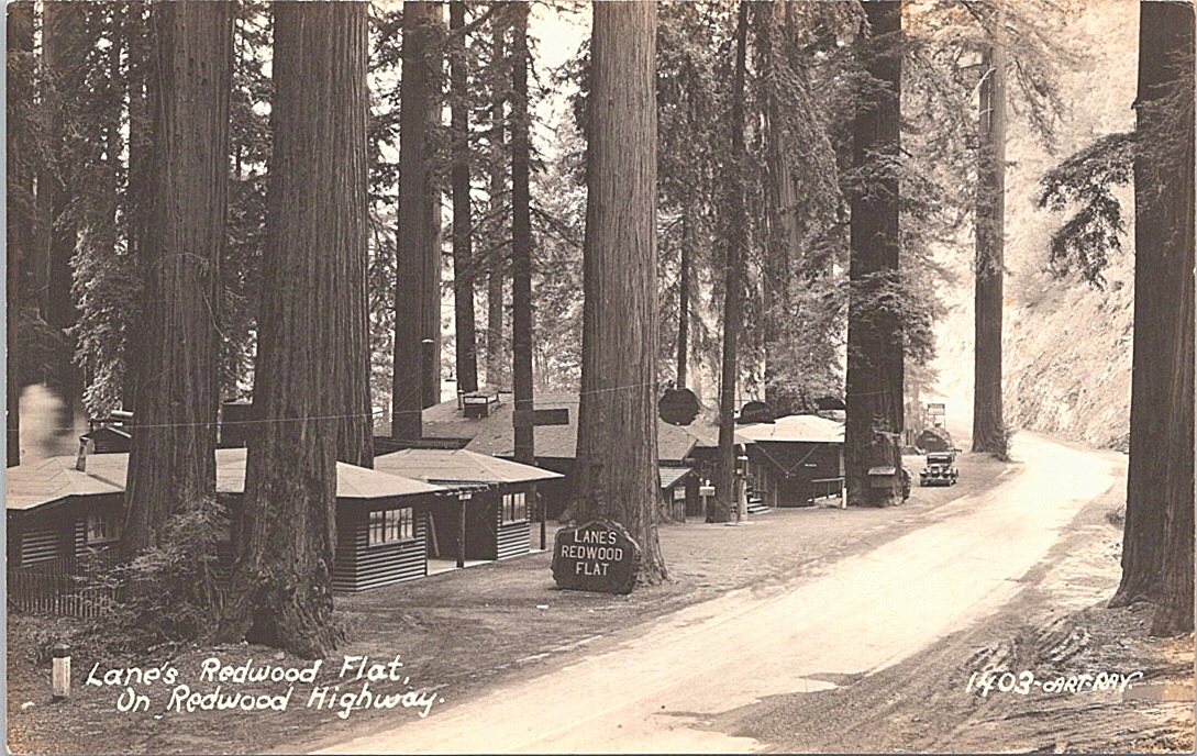 RPPC Redwood Highway CA Lane's Redwood Flat Cabins Roadside Motel 1930s RPPC Redwood Highway CA Lane's Redwood Flat Cabins Roadside Motel 1930s