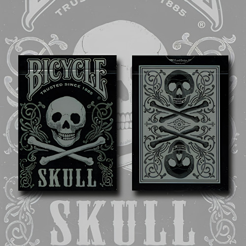 Bicycle Skull Metallic (Silver) USPCC by Gambler's Warehouse