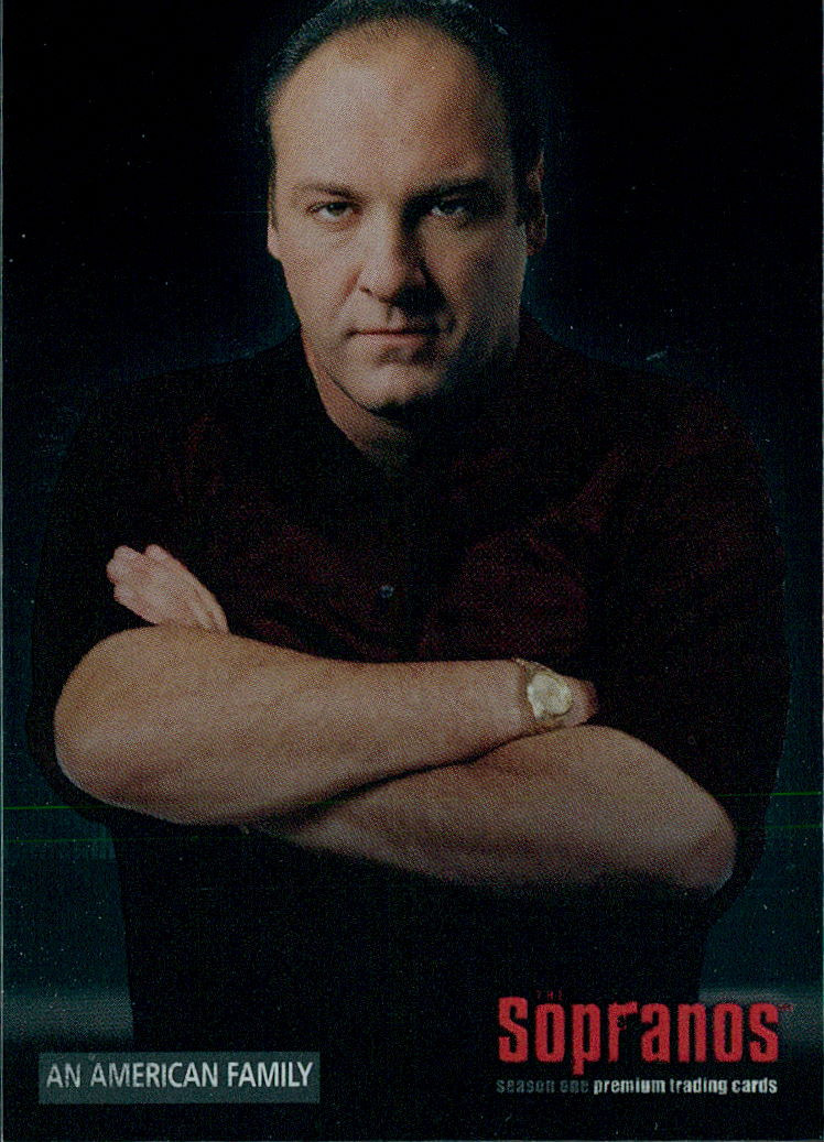 An American Family - 2005 Inkworks the Sopranos #22 An American Family - 2005 Inkworks the Sopranos #22