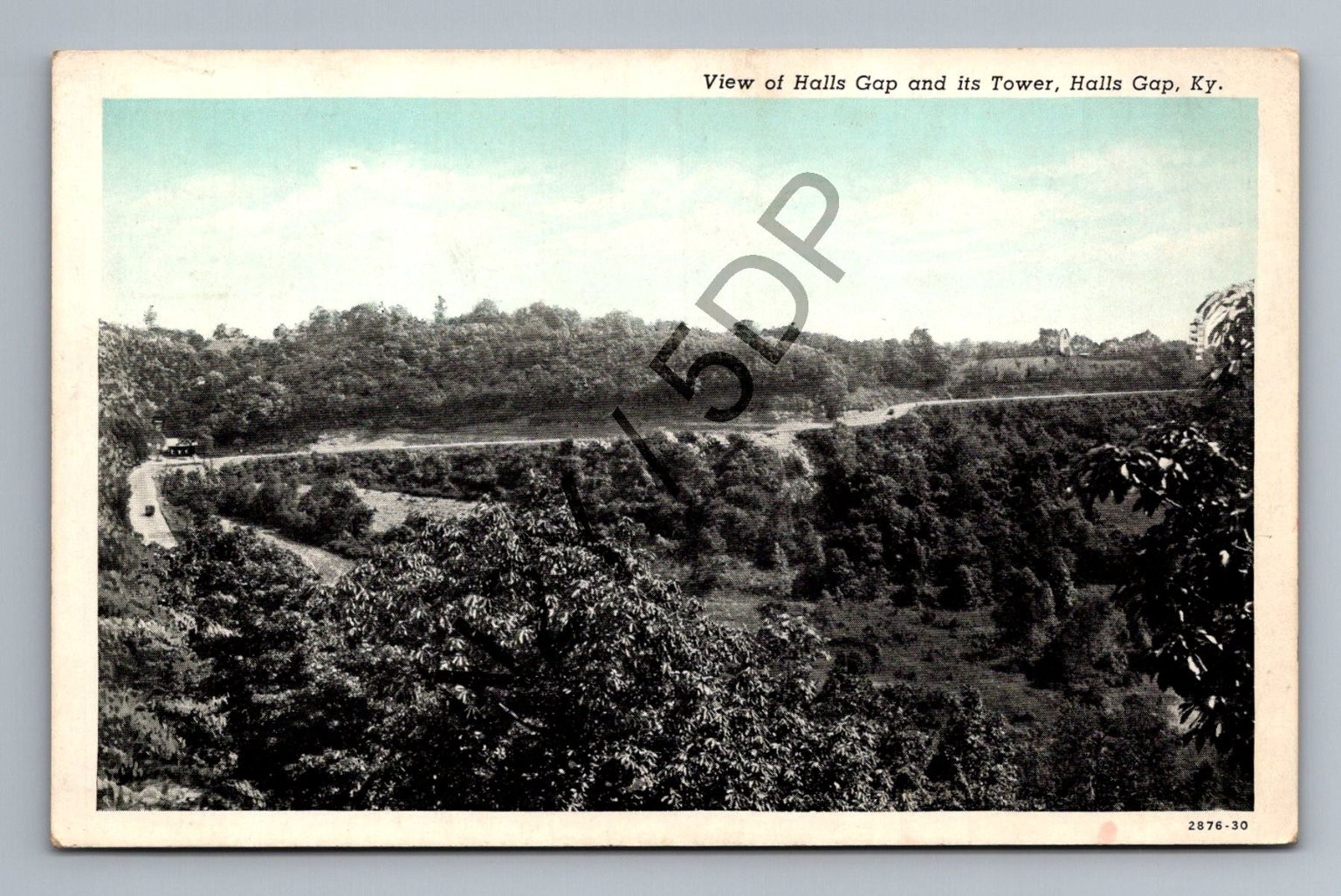 Halls Gap Kentucky KY Observation Tower Panoramic View Vintage Postcard