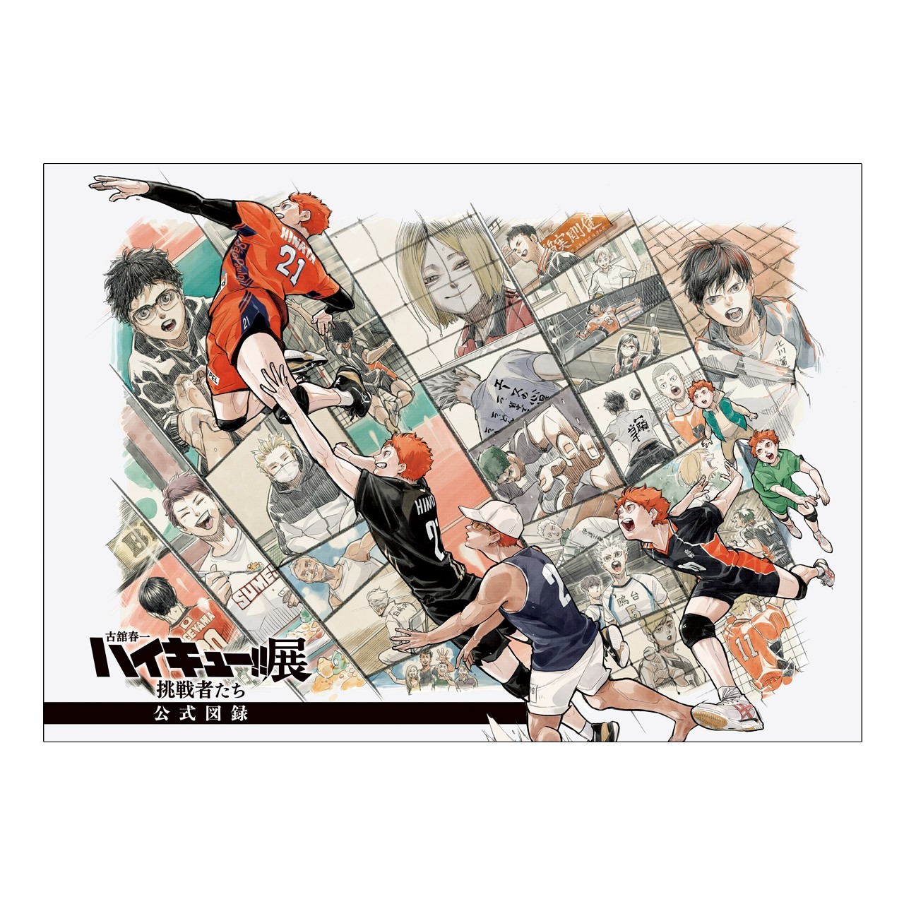 Brand New Haikyu Original Art Exhibition Official Catalog A4 1pc Presale Brand New Haikyu Original Art Exhibition Official Catalog A4 1pc Presale