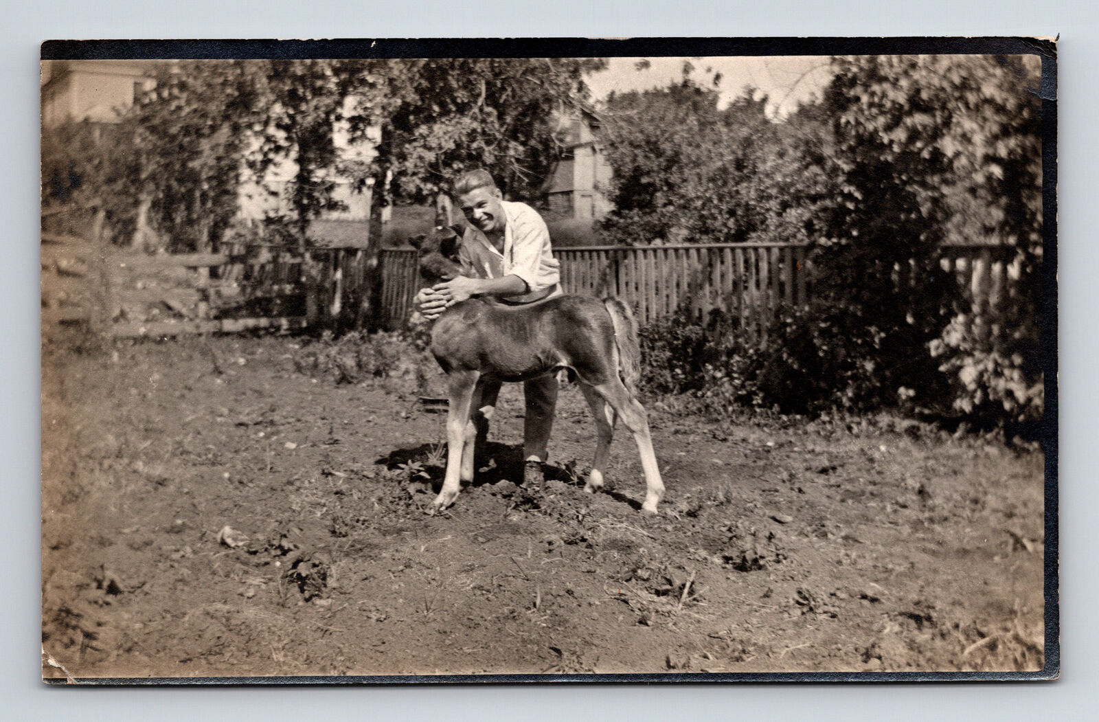 RPPC Handsome Man and Foal Horse on Farm Real Photo Postcard