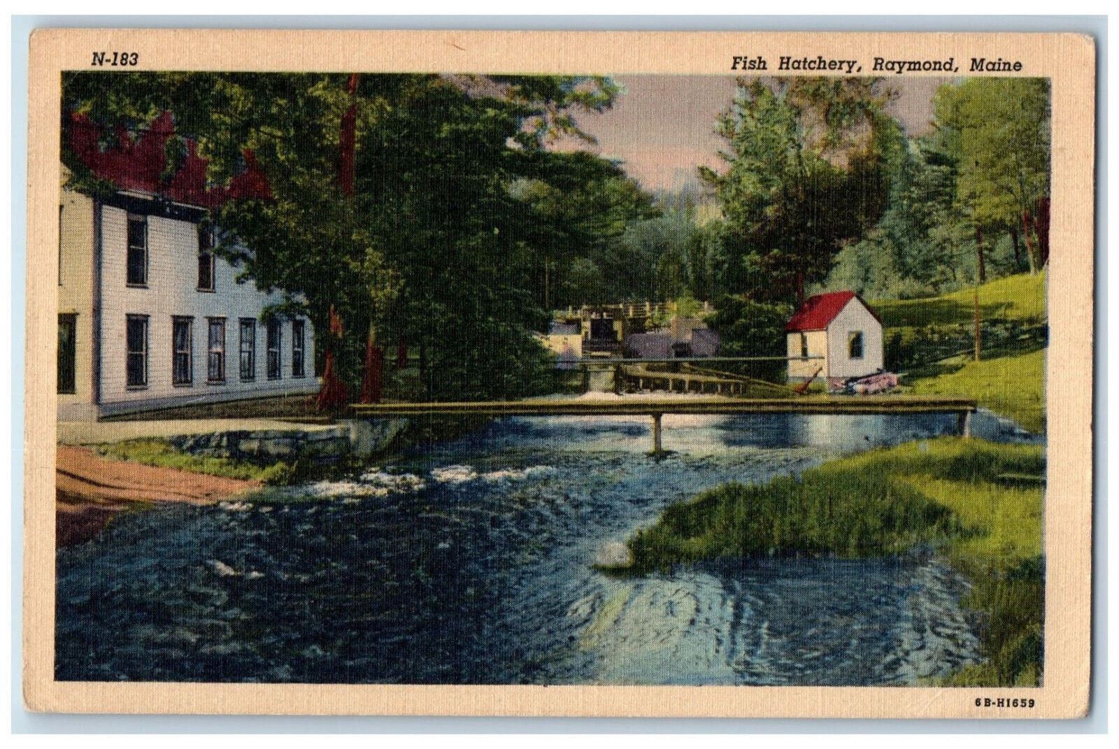 1951 Fish Hatchery Raymond Maine ME Wytopitlock Maine ME Vintage Postcard 1951 Fish Hatchery Raymond Maine ME Wytopitlock Maine ME Vintage Postcard