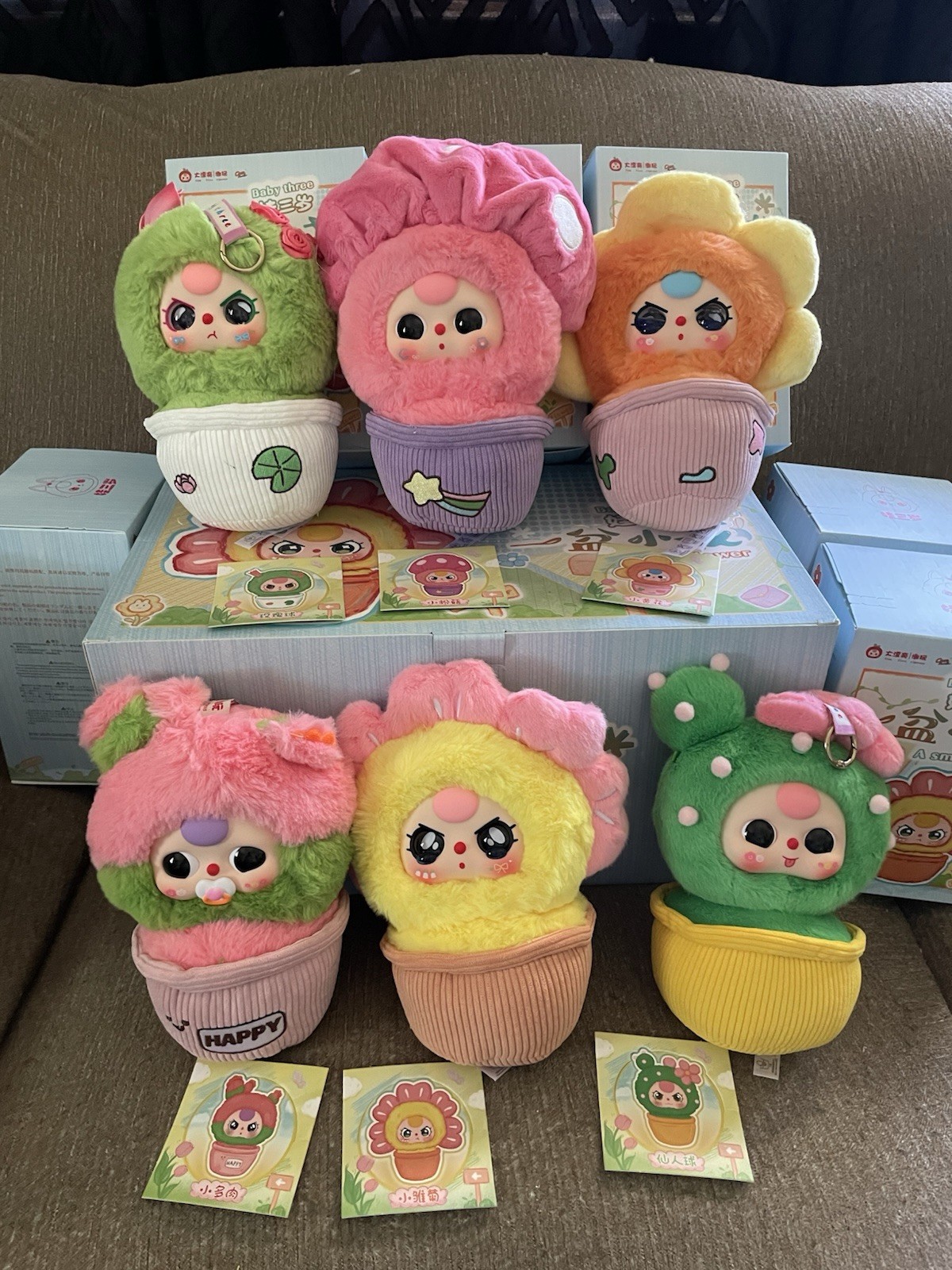 SALE Baby Three A Small Flower FULL CASE 6 Confirmed Boxes New In Box Read SALE Baby Three A Small Flower FULL CASE 6 Confirmed Boxes New In Box Read