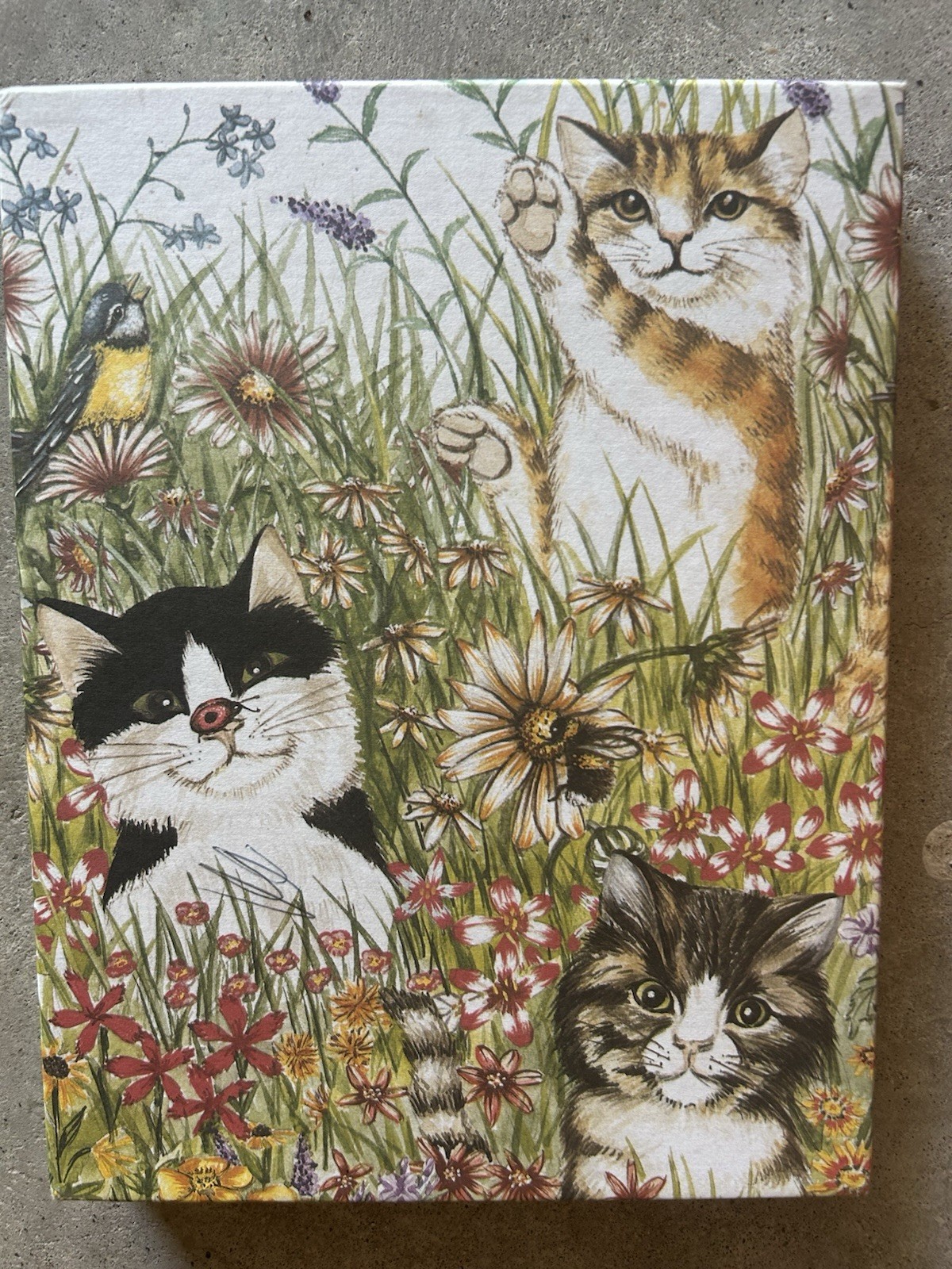 Vintage Cat and Butterfly Stationary 12 Sheets 12 Envelopes NOS Vintage Cat and Butterfly Stationary 12 Sheets 12 Envelopes NOS