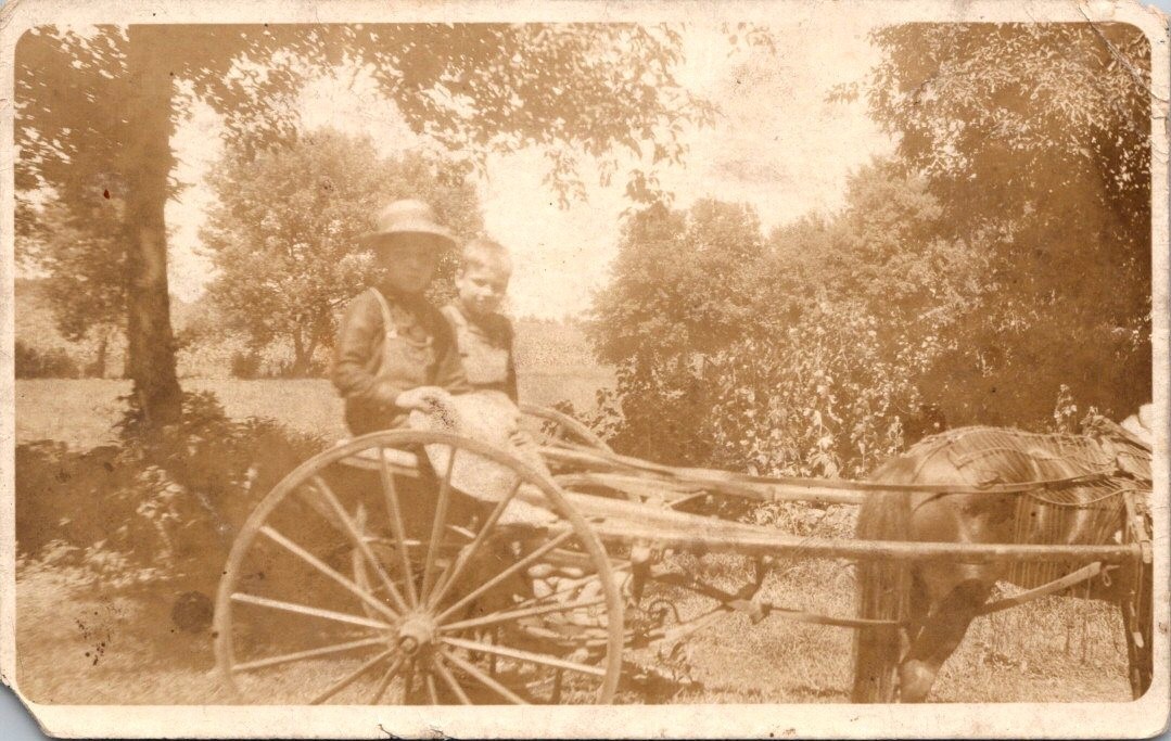 Lot of 2 Antique RPPC 1910s Mule Wagon & Boys Pony Cart Real Photo Postcards Lot of 2 Antique RPPC 1910s Mule Wagon & Boys Pony Cart Real Photo Postcards